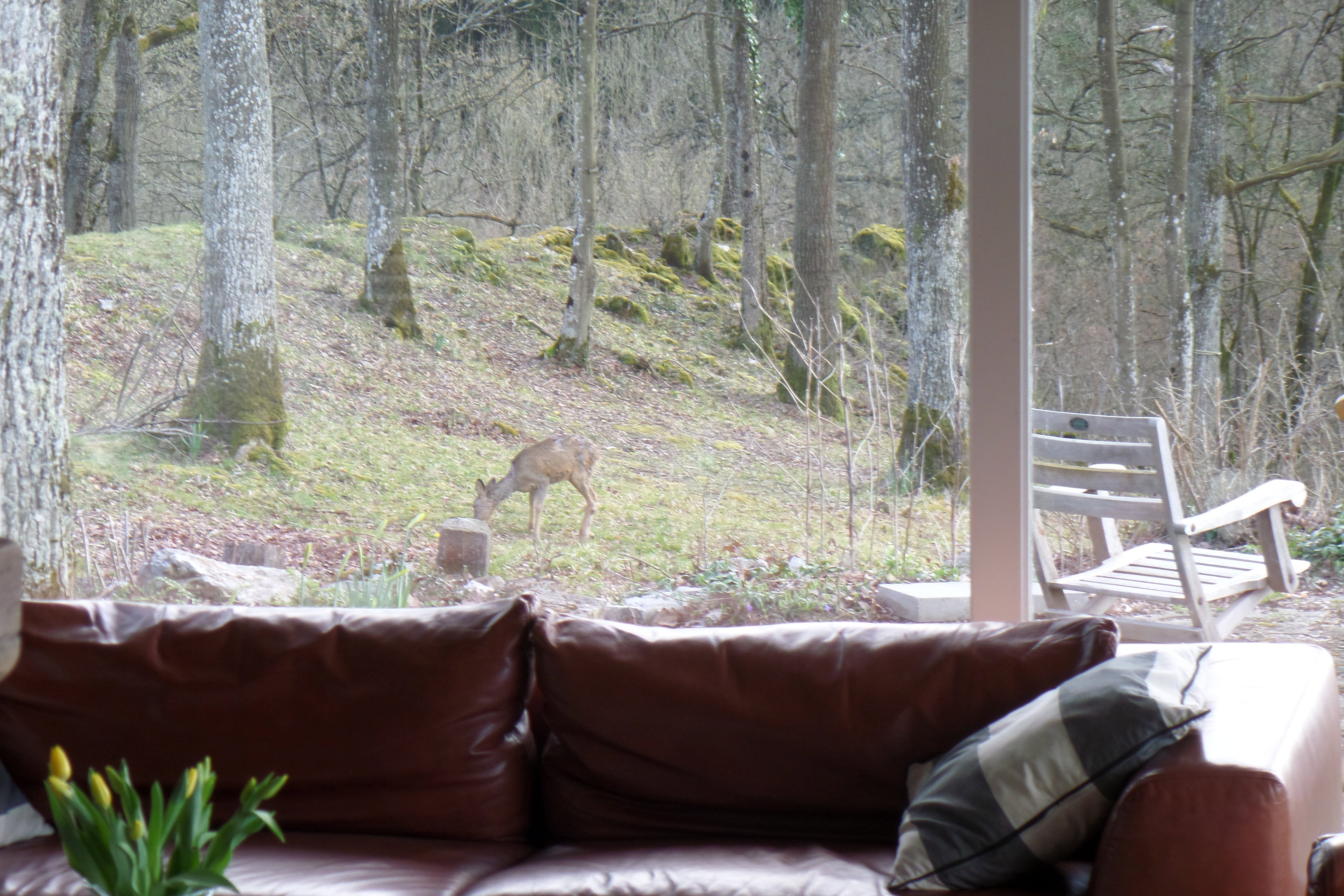 Naturhäuschen in Weris