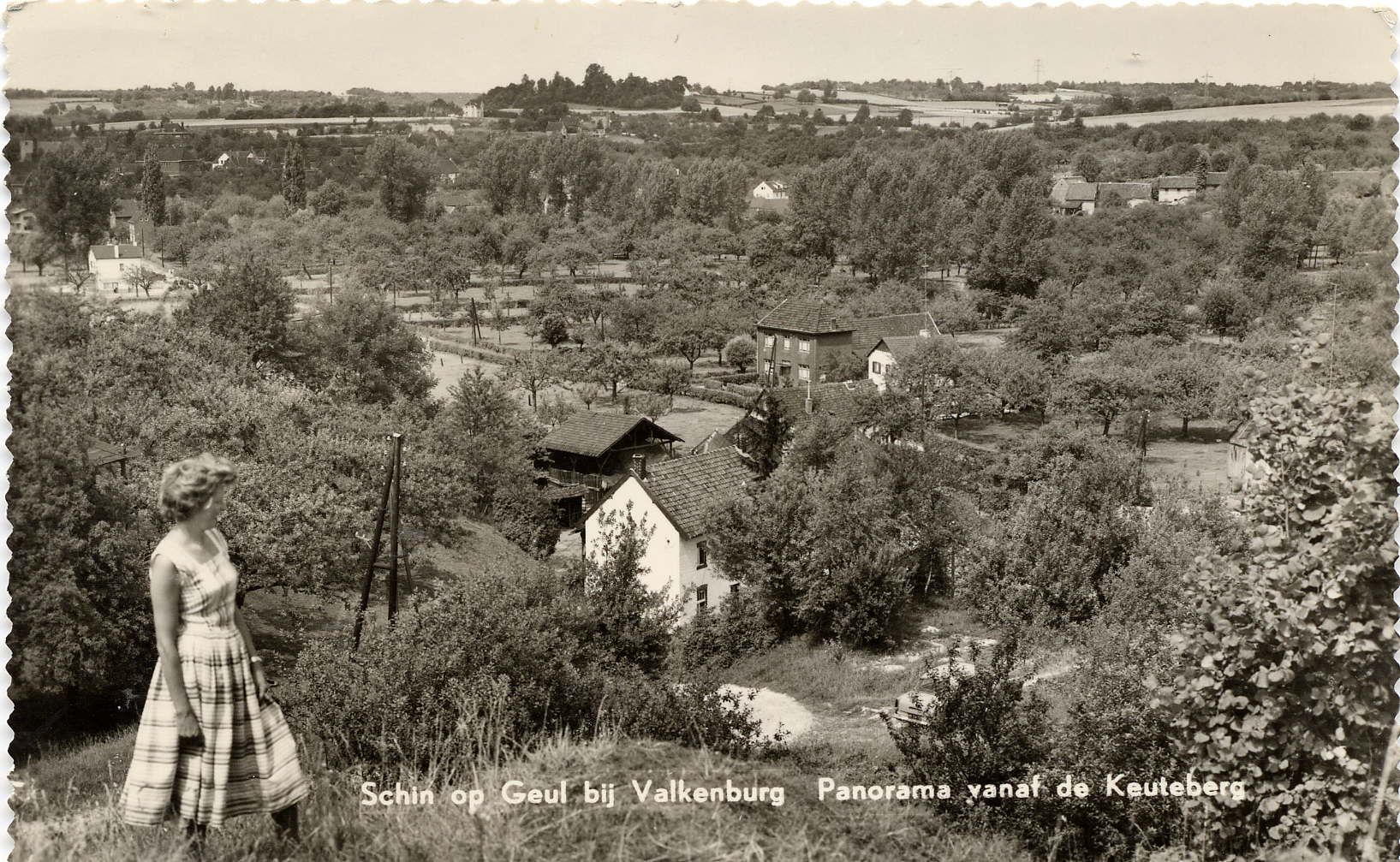 - image: 25