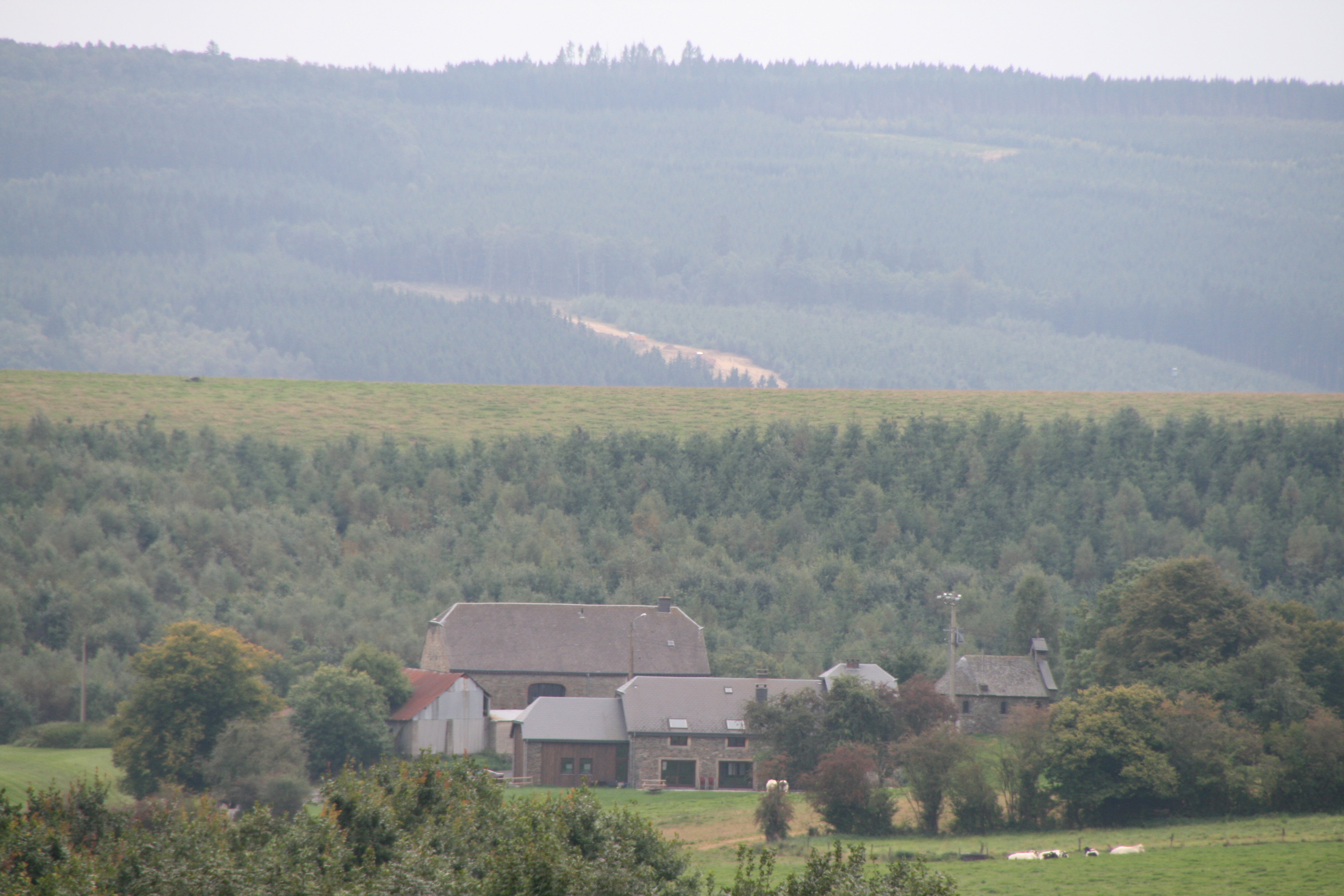 Maison nature à Tenneville / La Roche en Ardenne