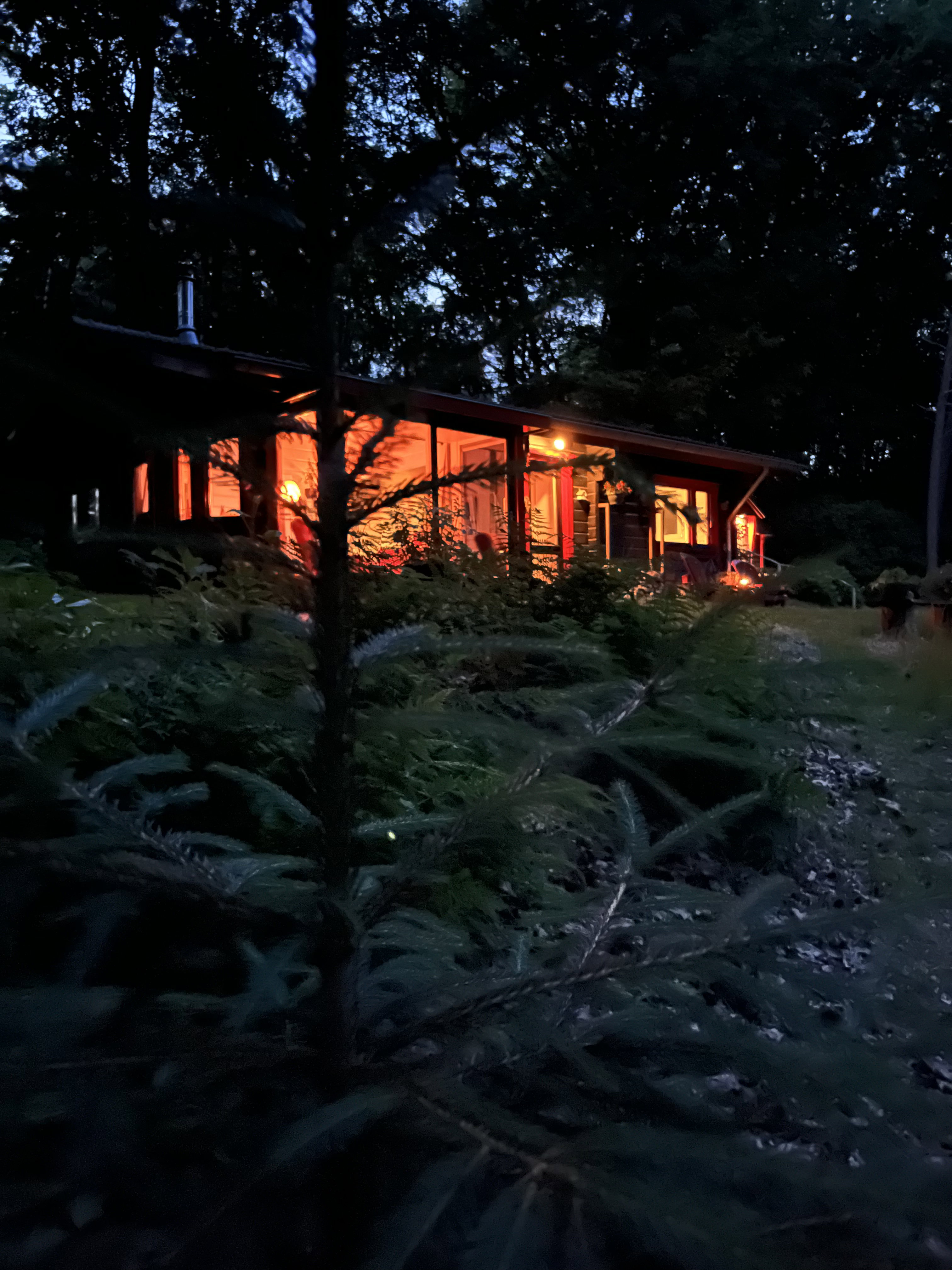 Natuurhuisje in Hulshorst