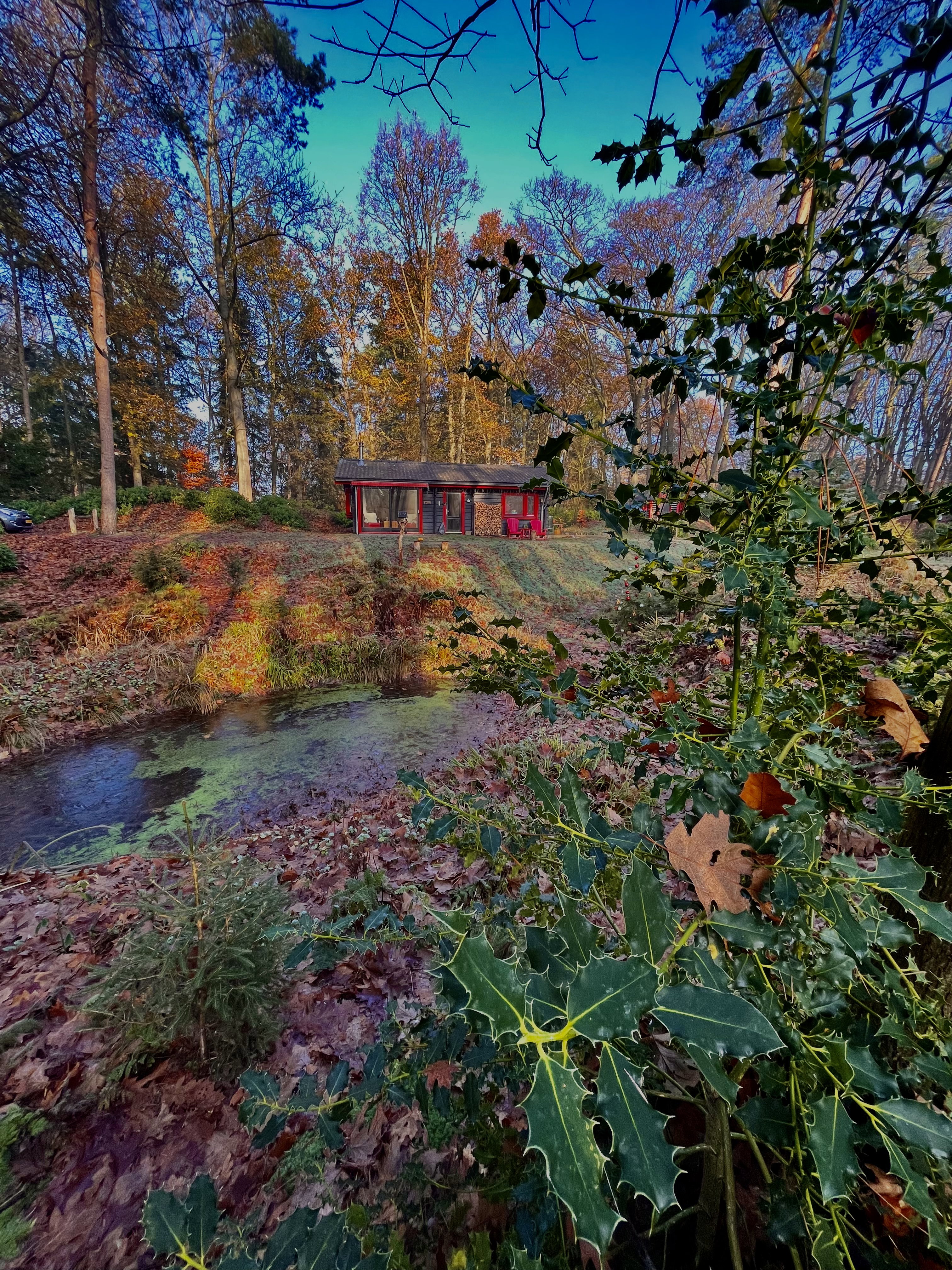 Natuurhuisje in Hulshorst
