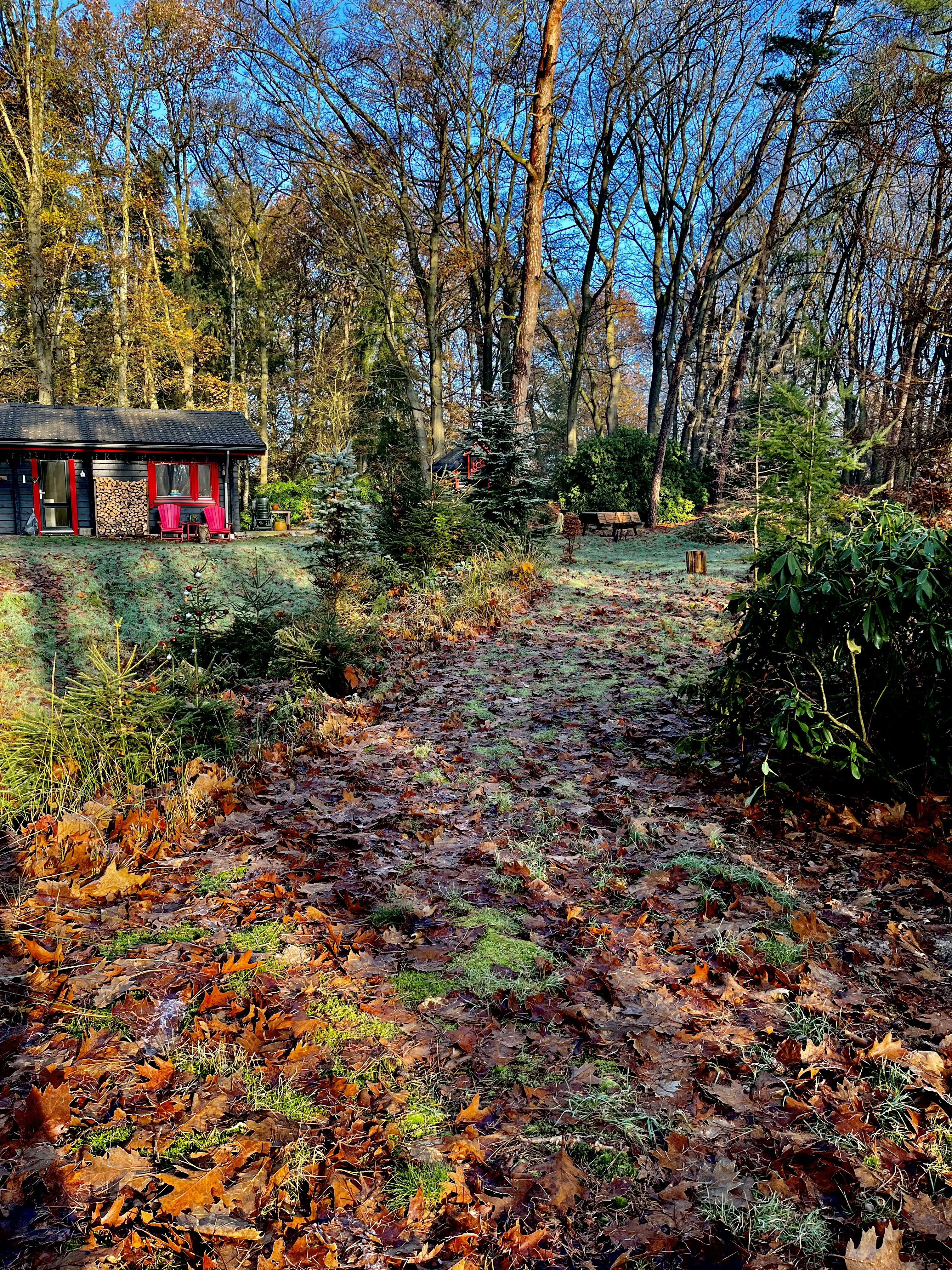 Natuurhuisje in Hulshorst