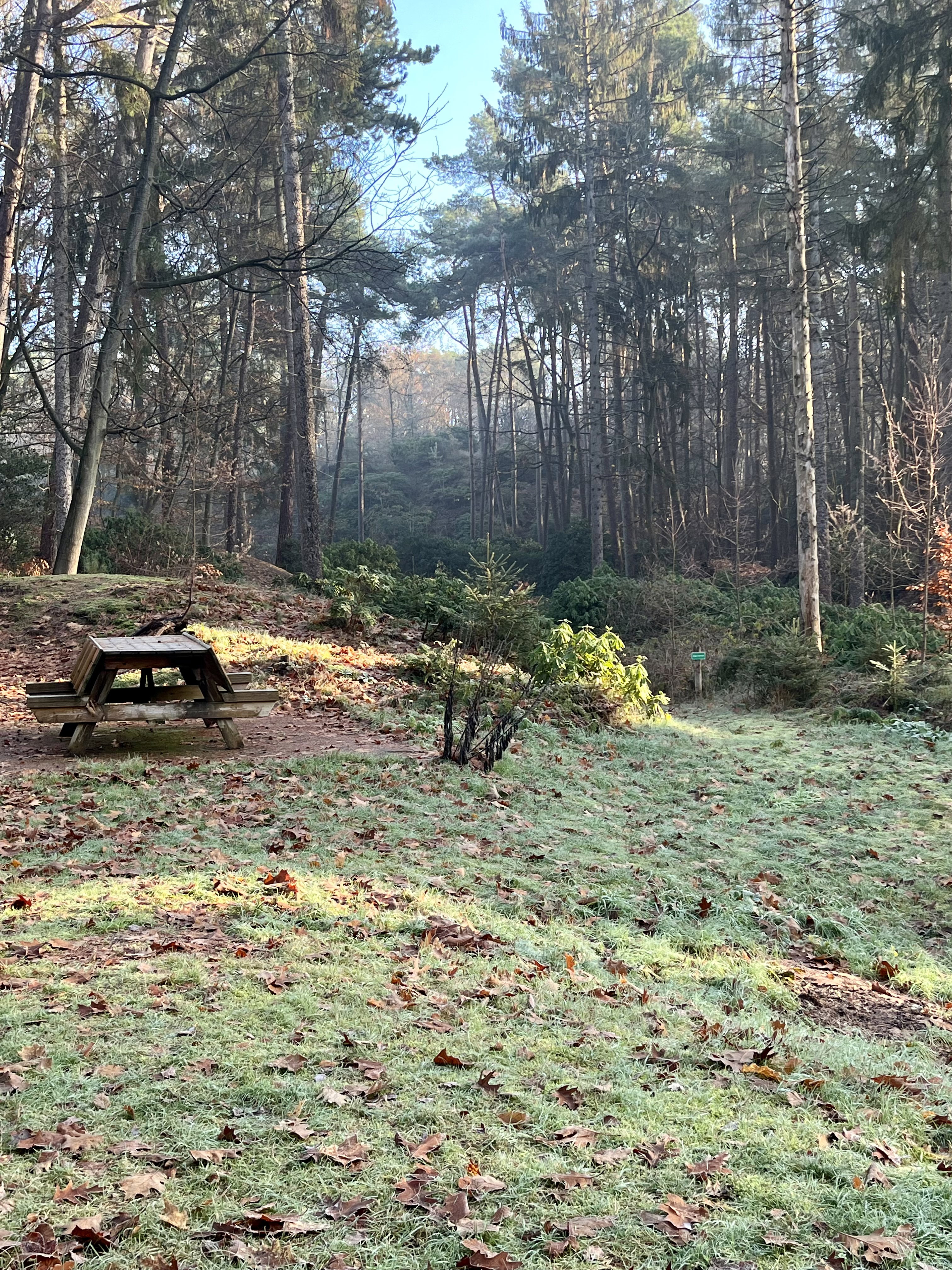 Natuurhuisje in Hulshorst