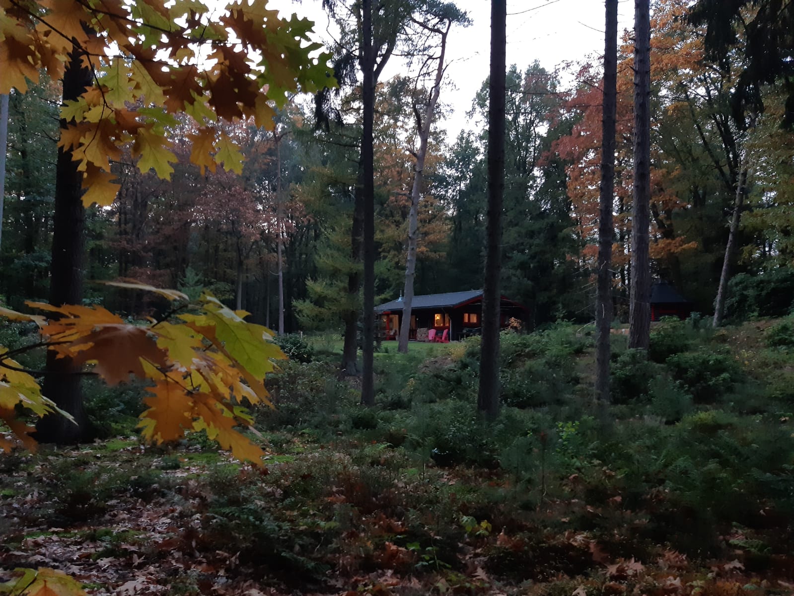 Maison nature à Hulshorst