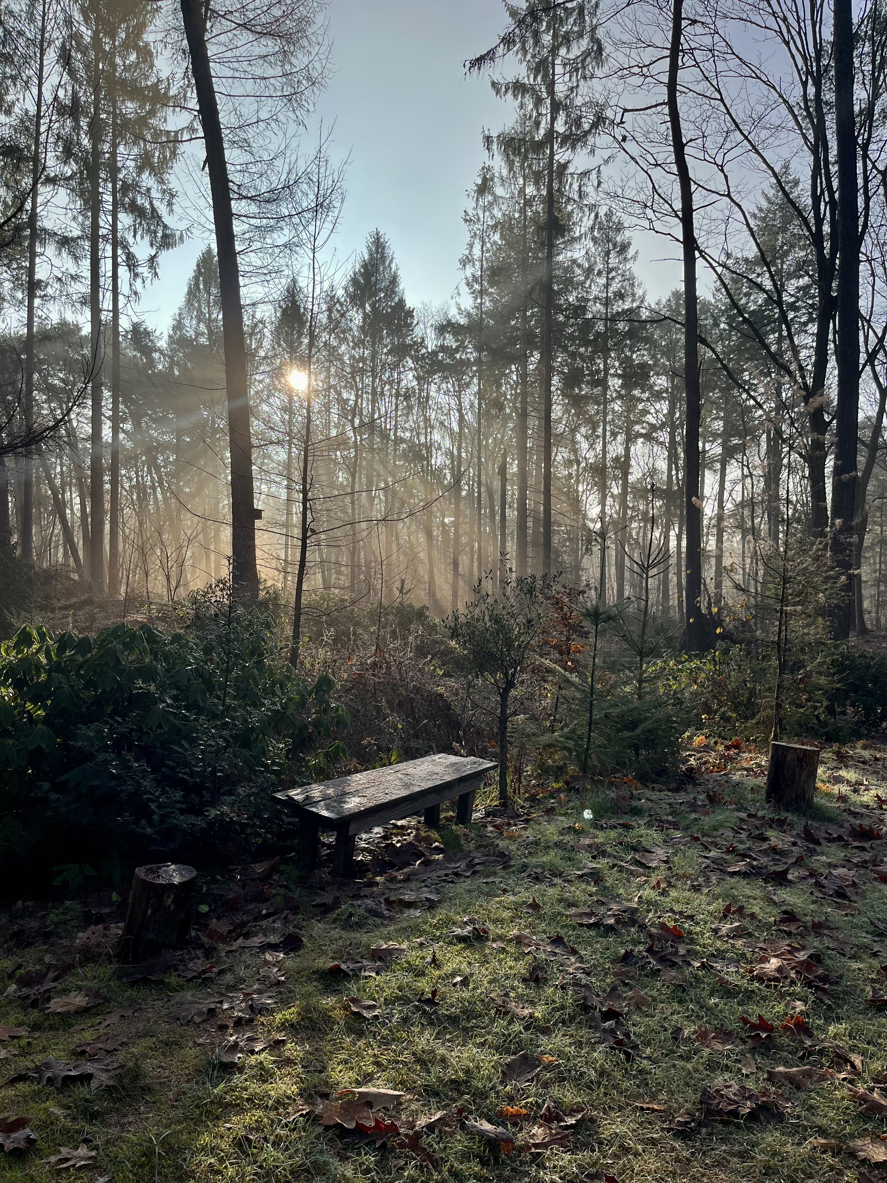 Natuurhuisje in Hulshorst