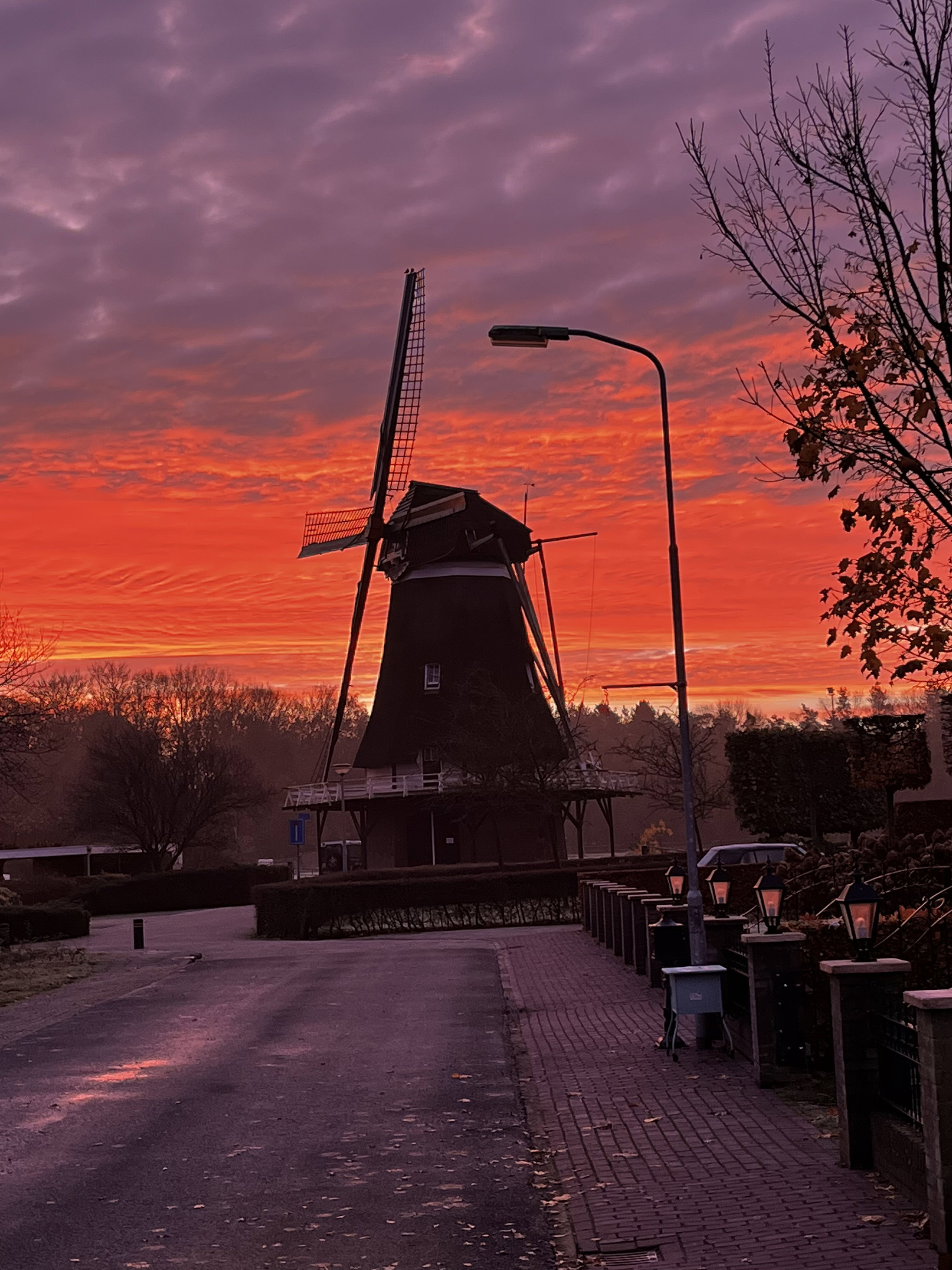 - image: 86