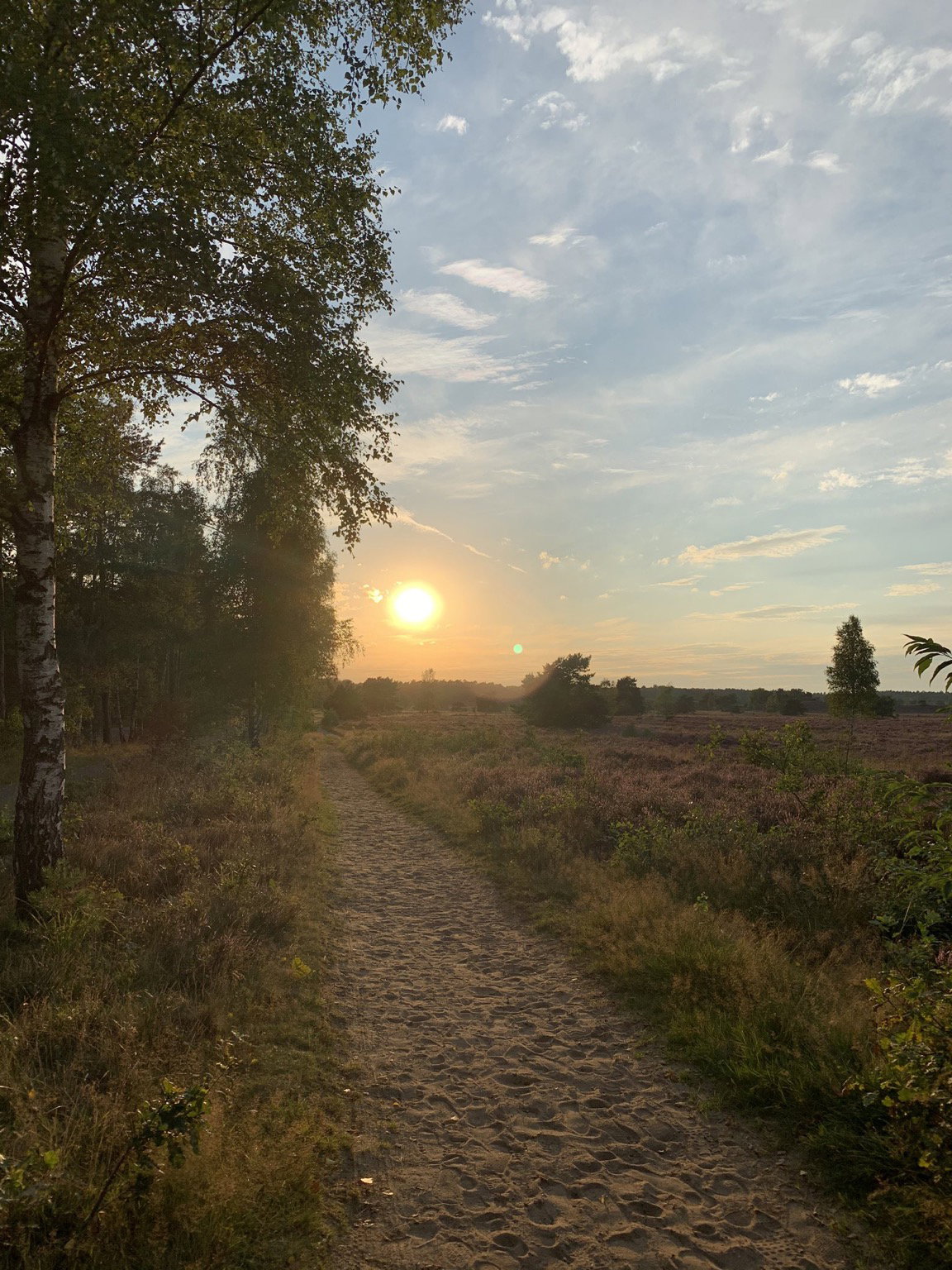 - image: 84