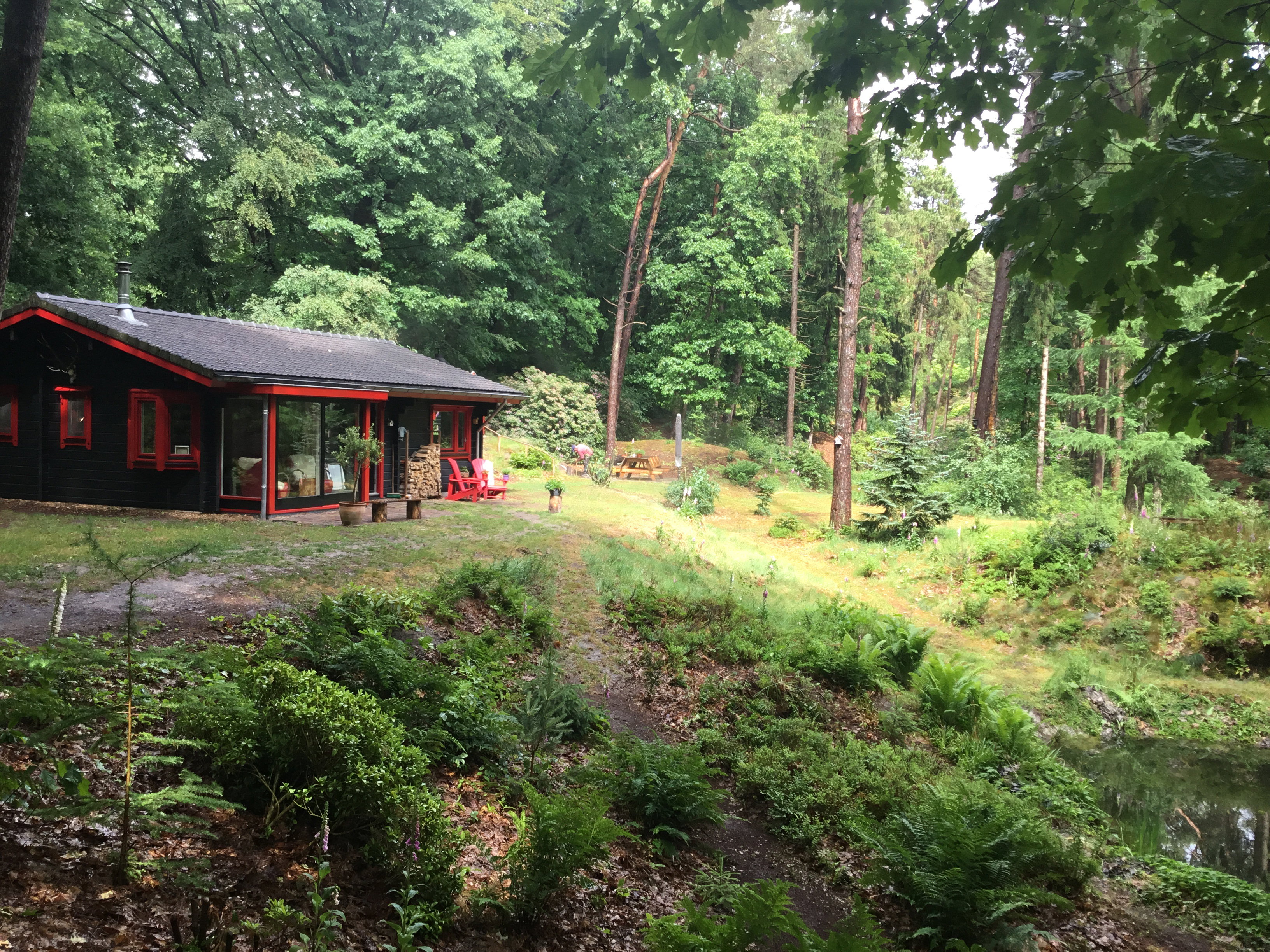- image: 11