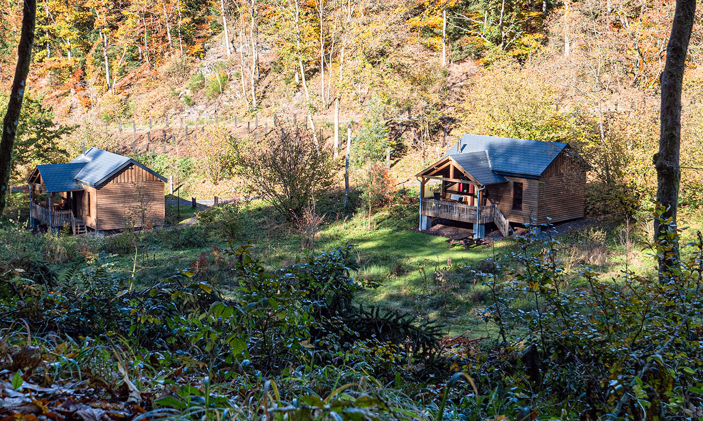Natuurhuisje in Houffalize - Cetturu