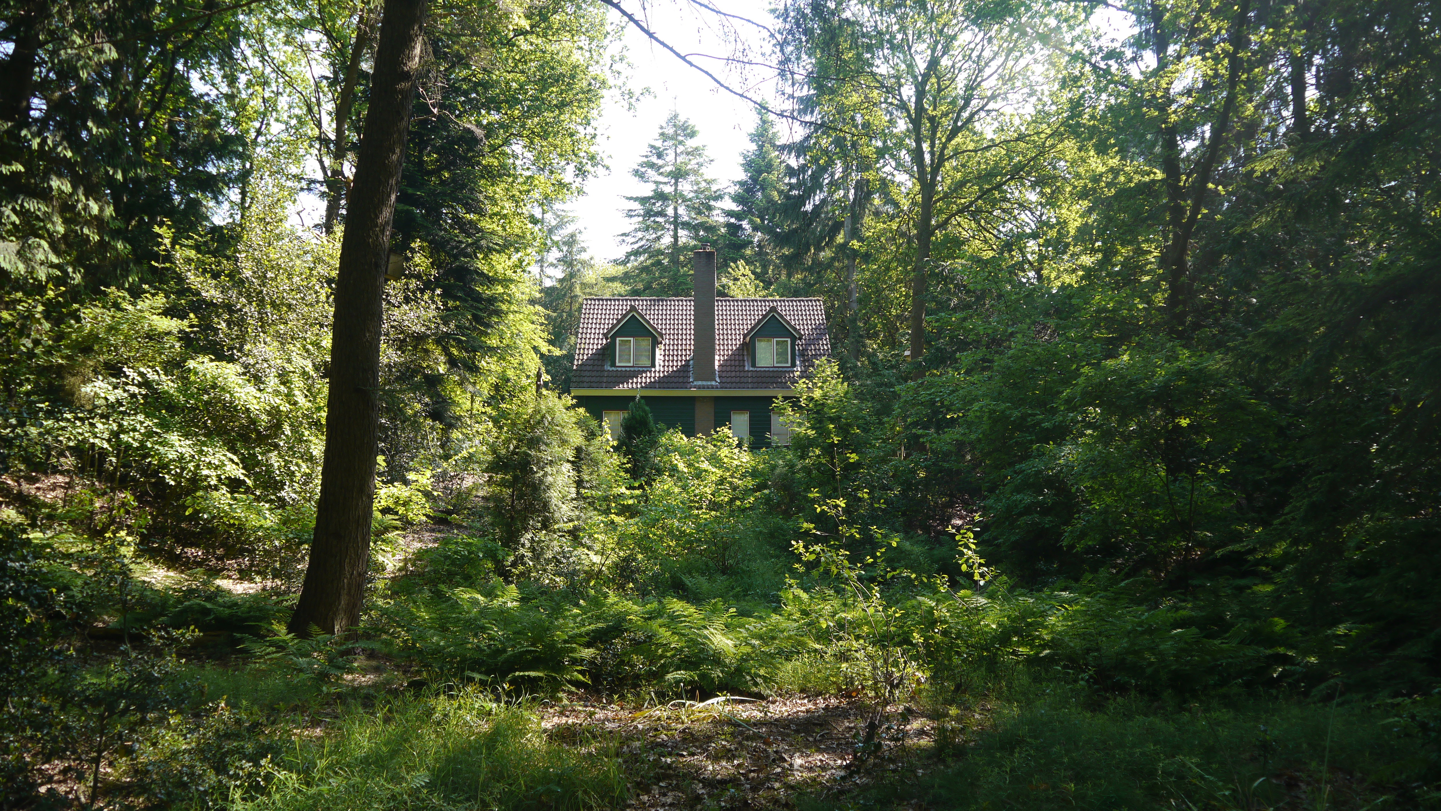 Maison nature à Diever