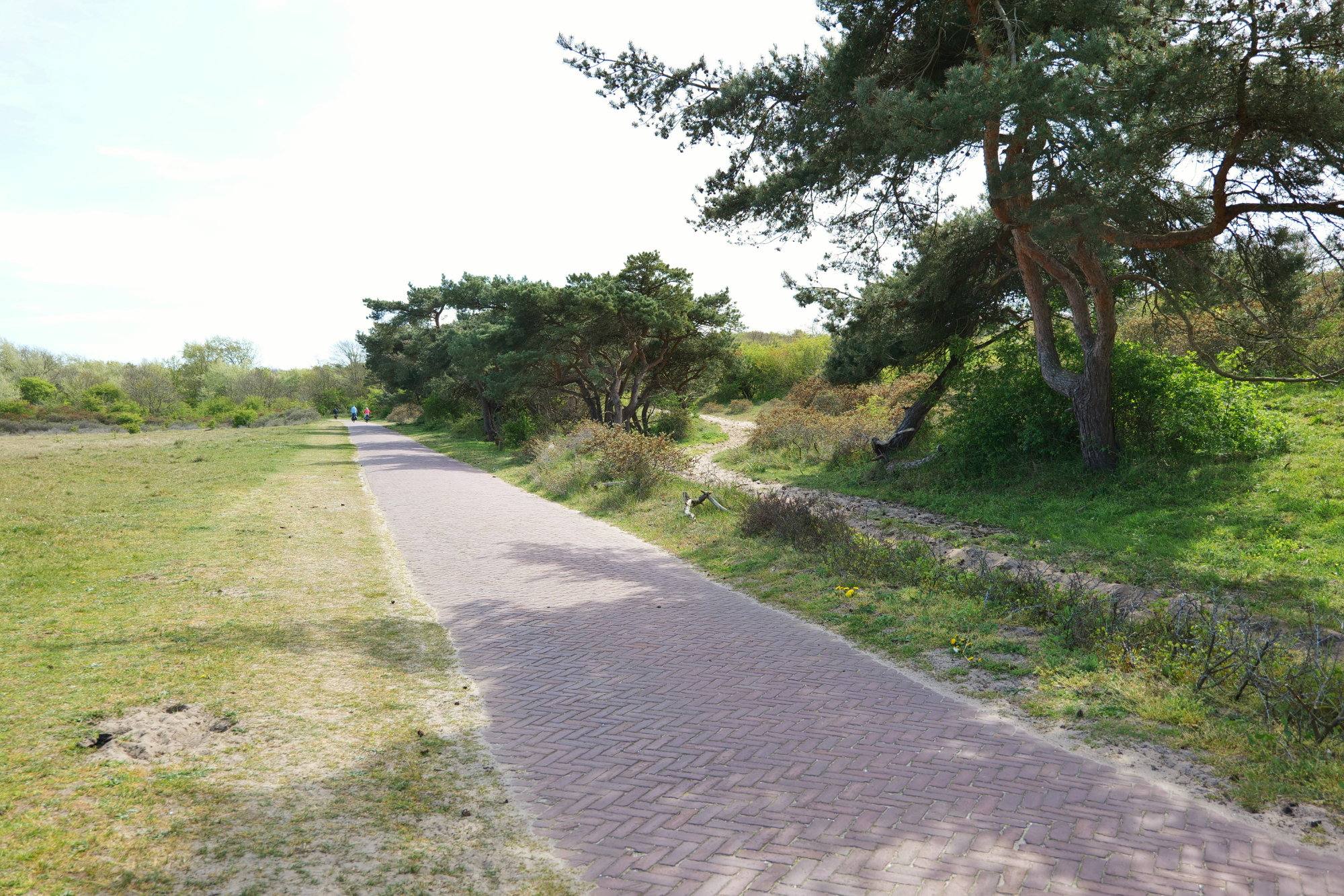 - image: 27