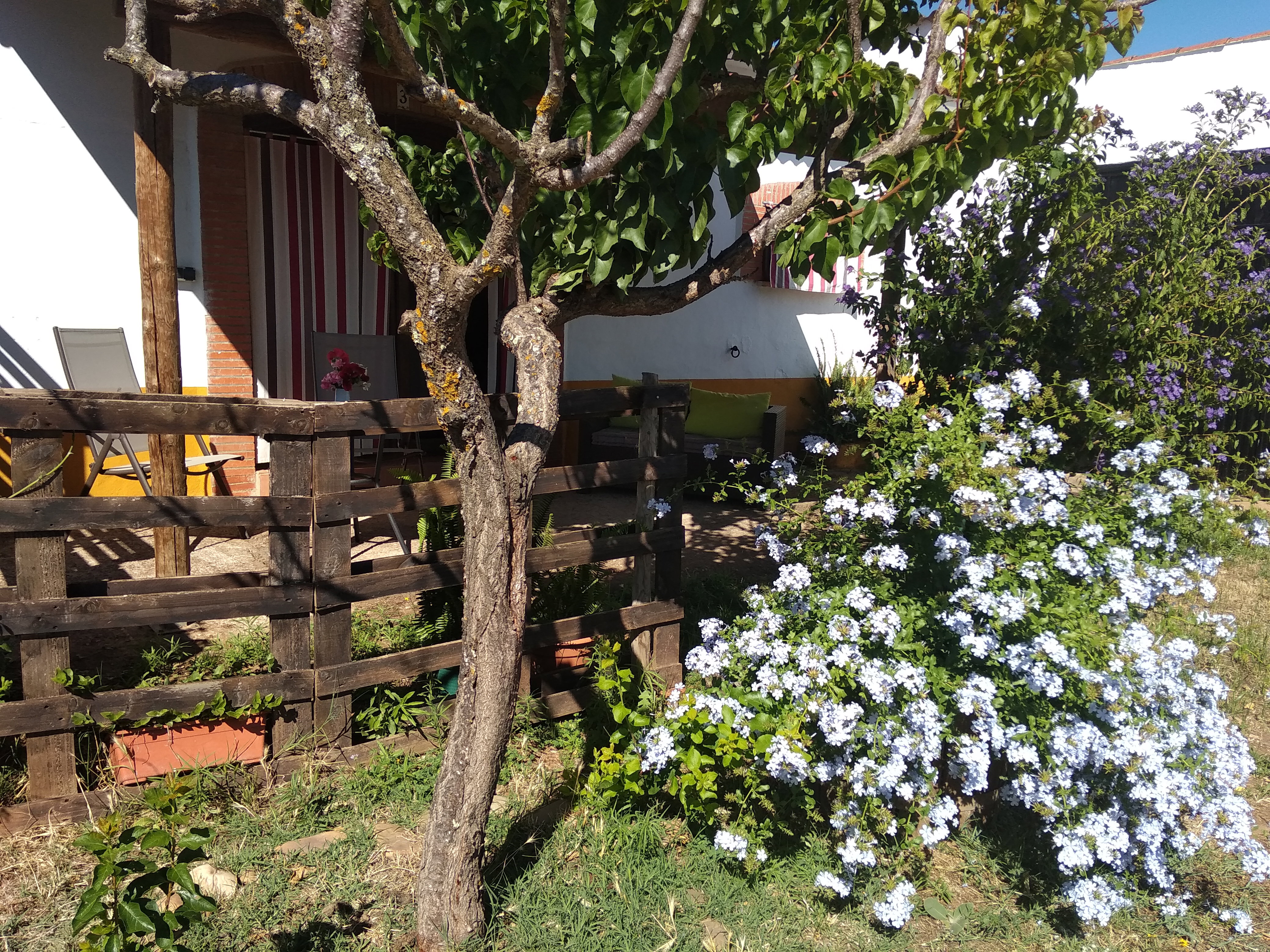 Maison nature à Alcuéscar