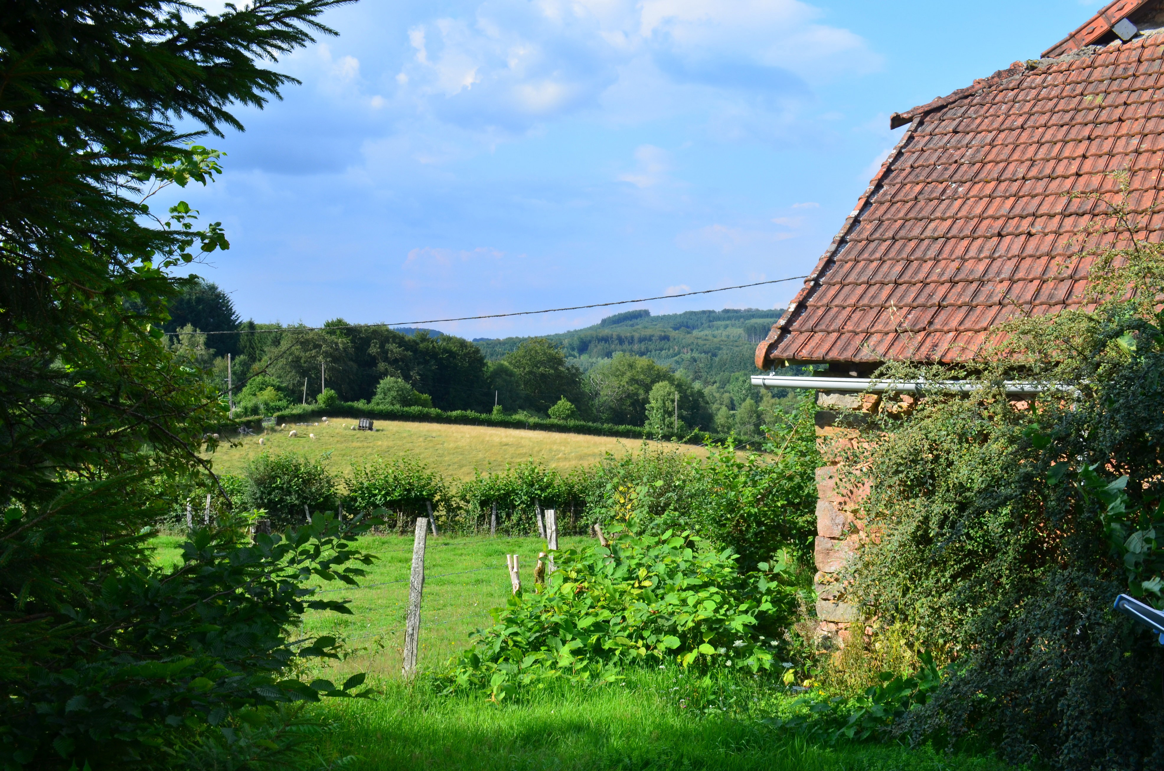 Maison nature à Moux en Morvan