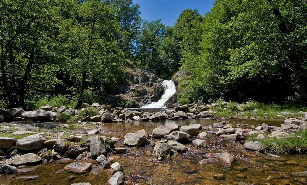- image: 21