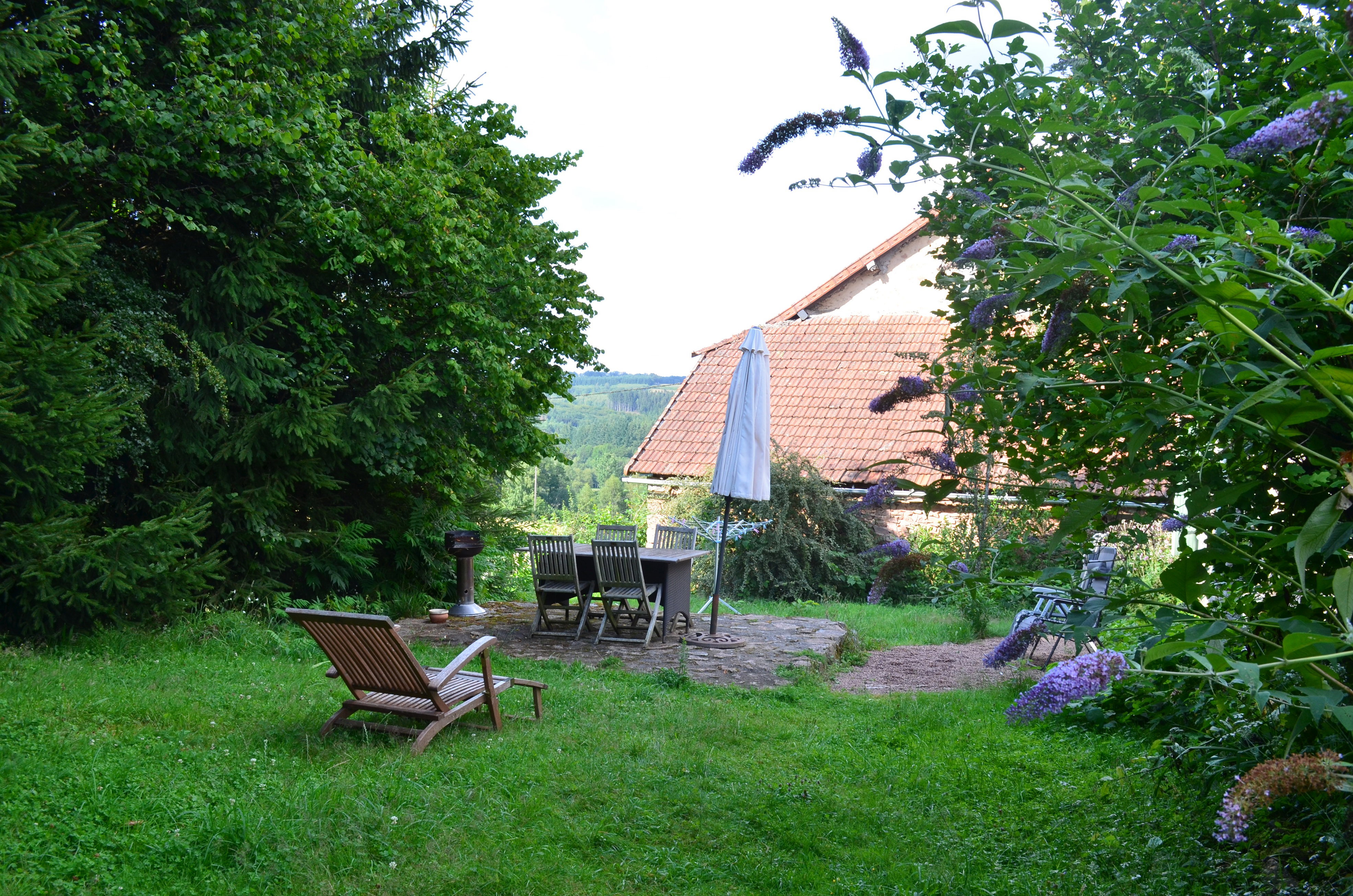- image: 11