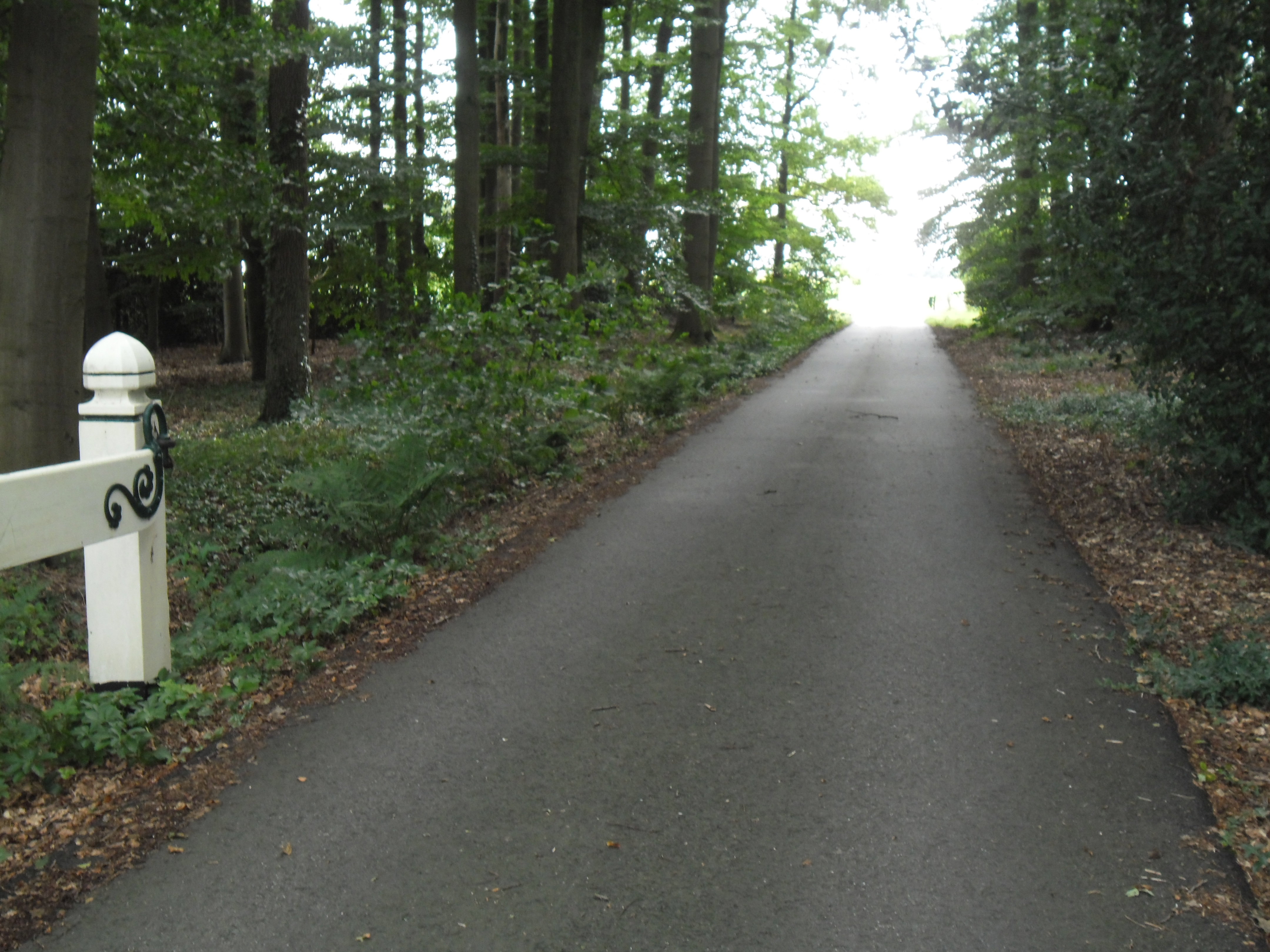 - image: 11