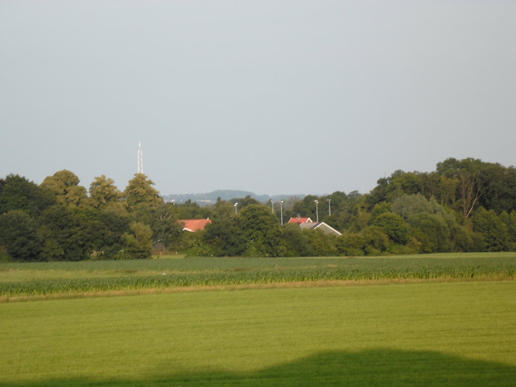 - image: 15