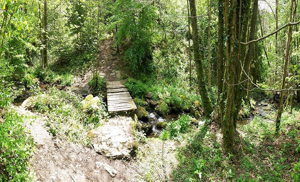- image: 13