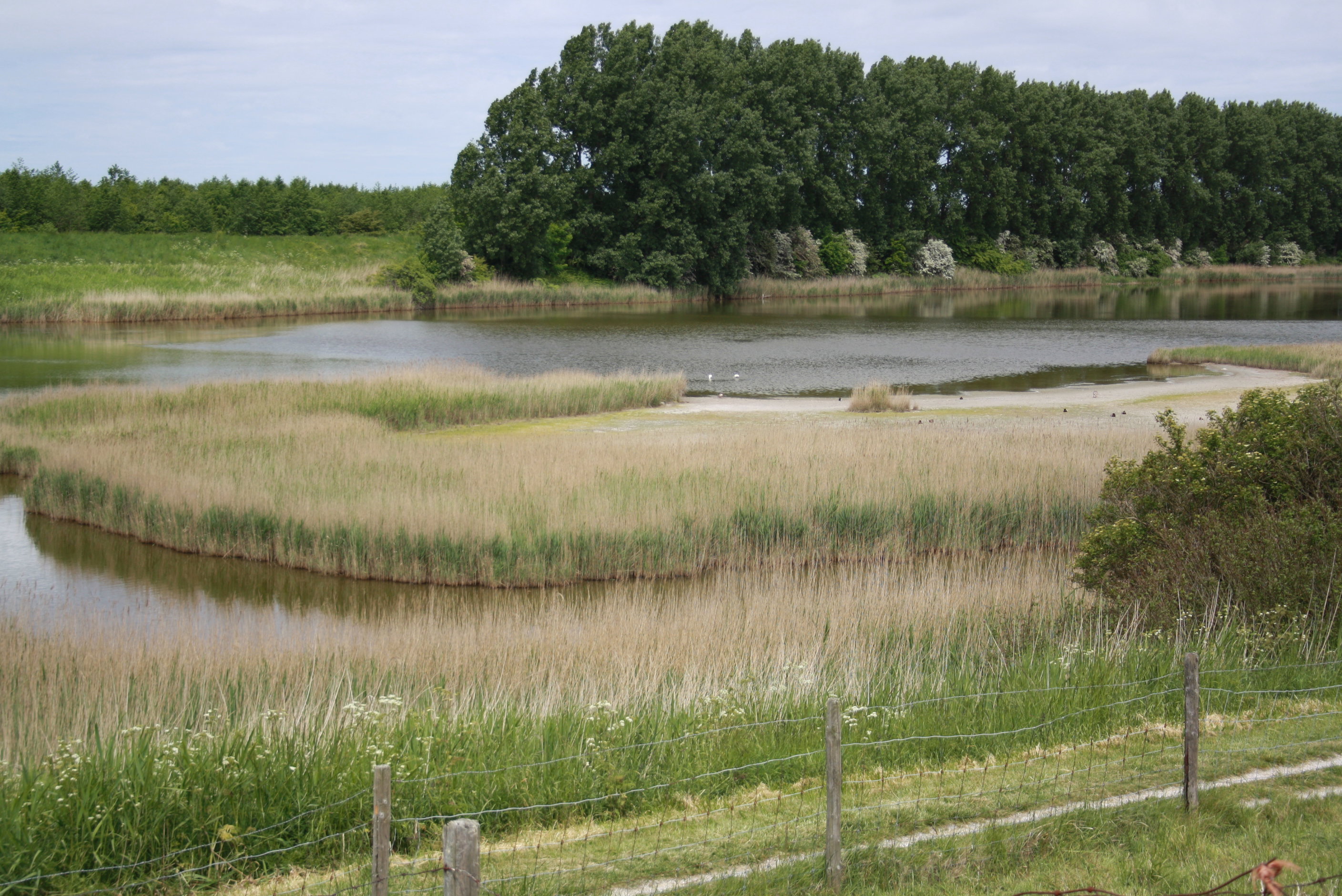 Maison nature à Scherpenisse