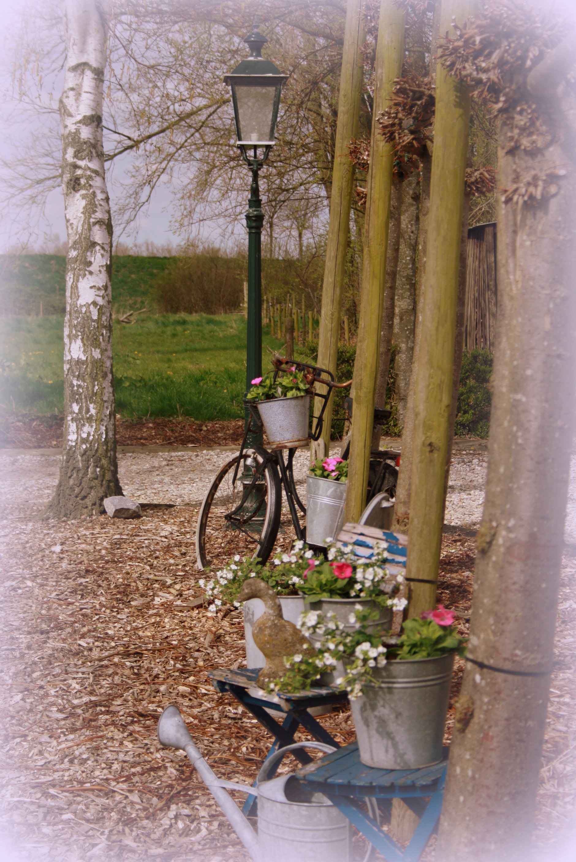 Maison nature à Scherpenisse