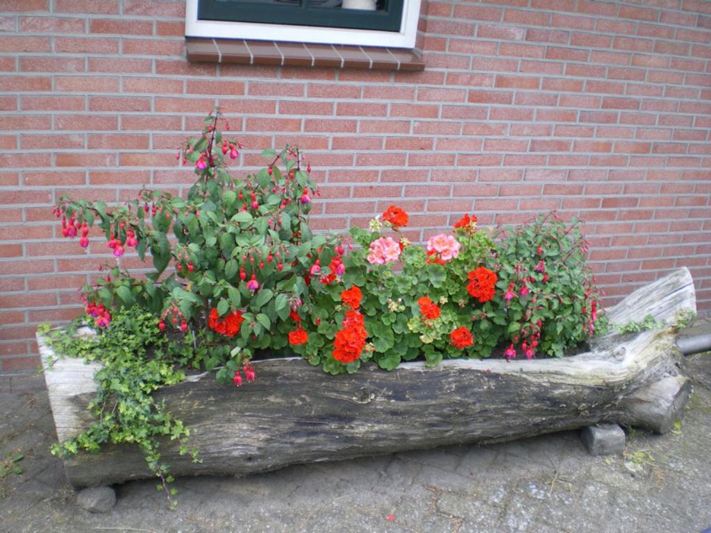 - image: 26