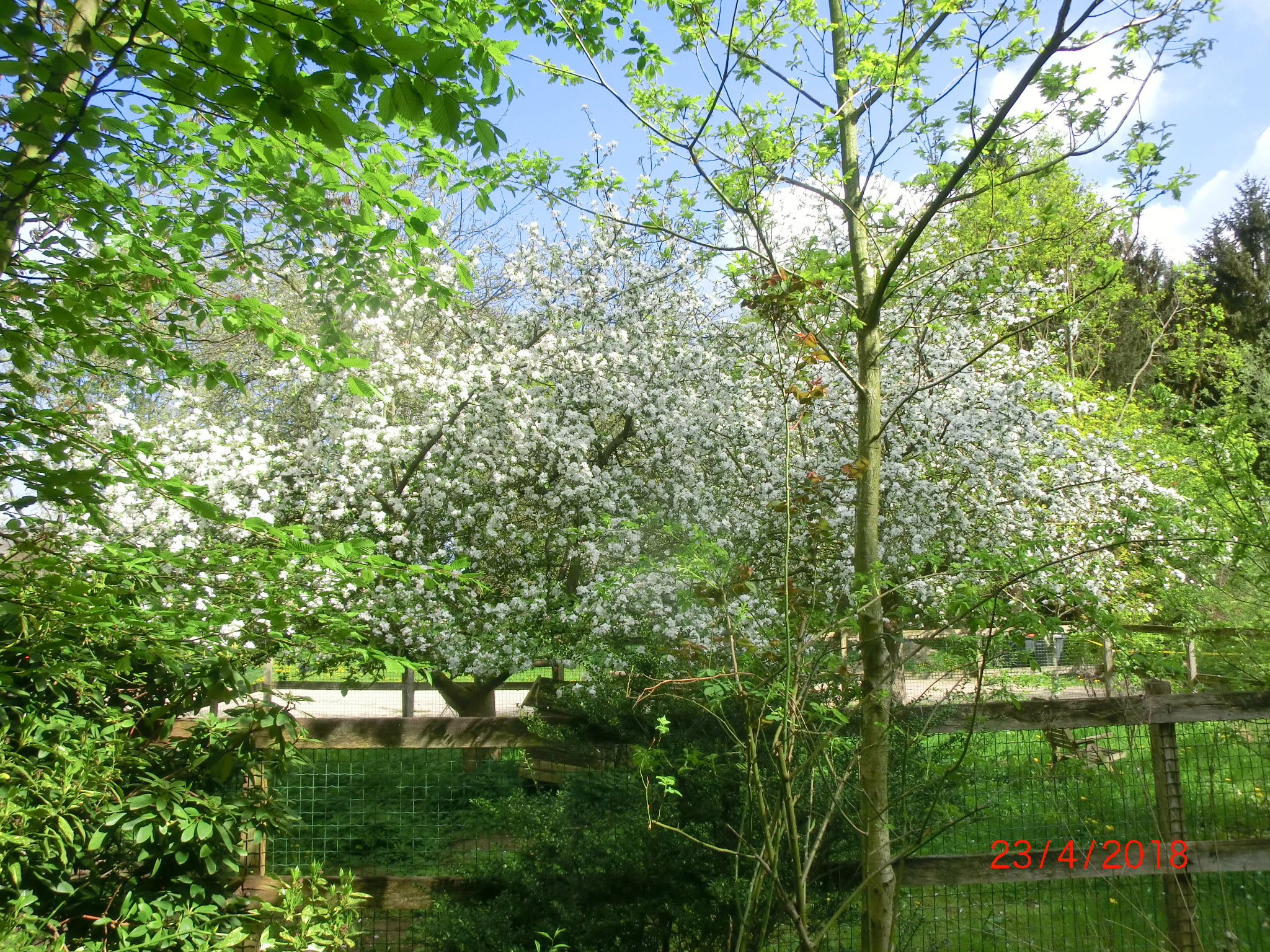 - image: 15