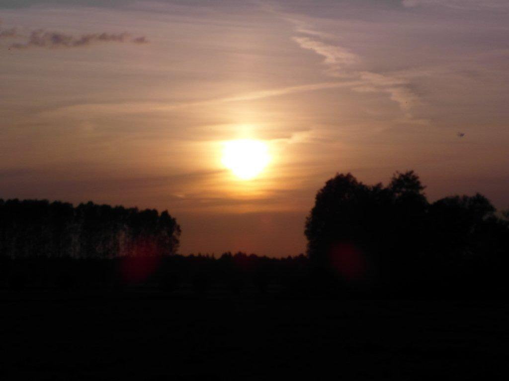 - image: 17