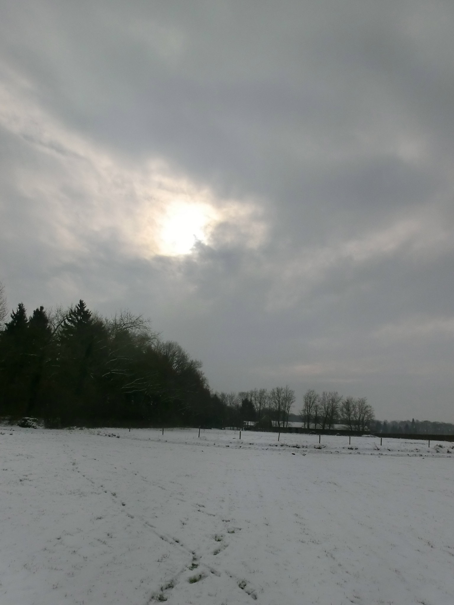 - image: 23
