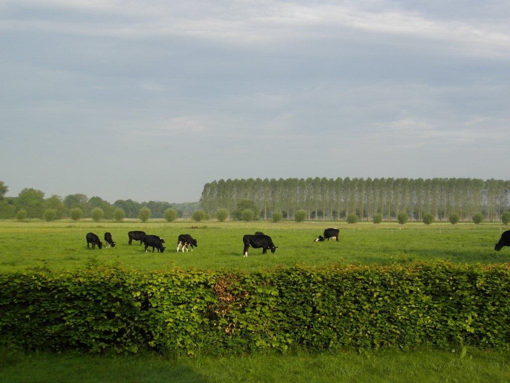 Maison nature à Vorden