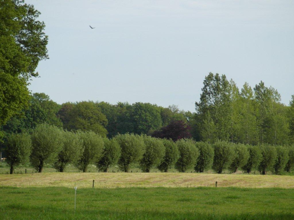 Maison nature à Vorden