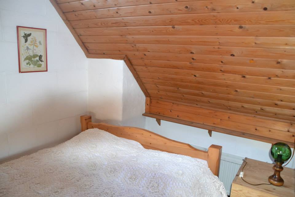 Nature house in Balkbrug