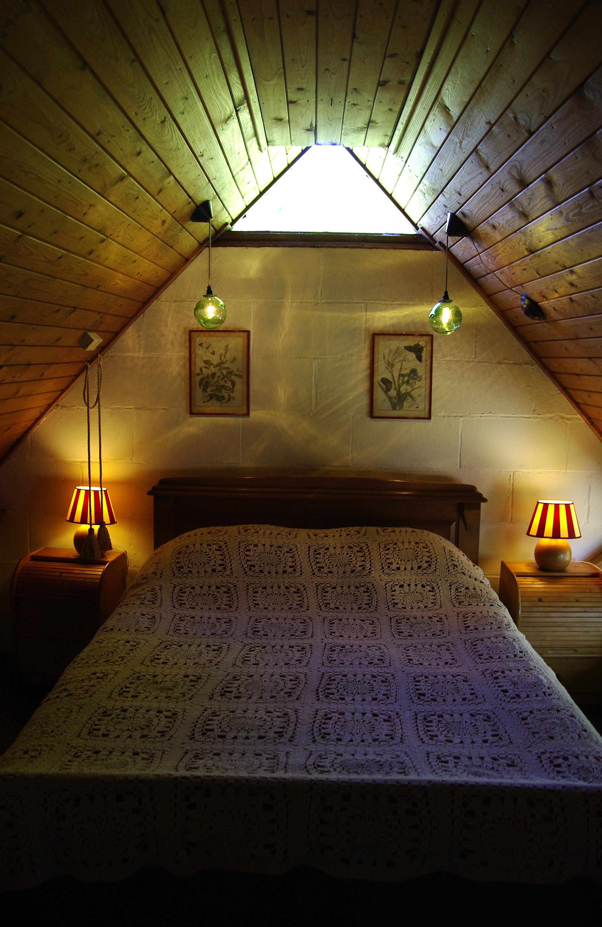 Nature house in Balkbrug