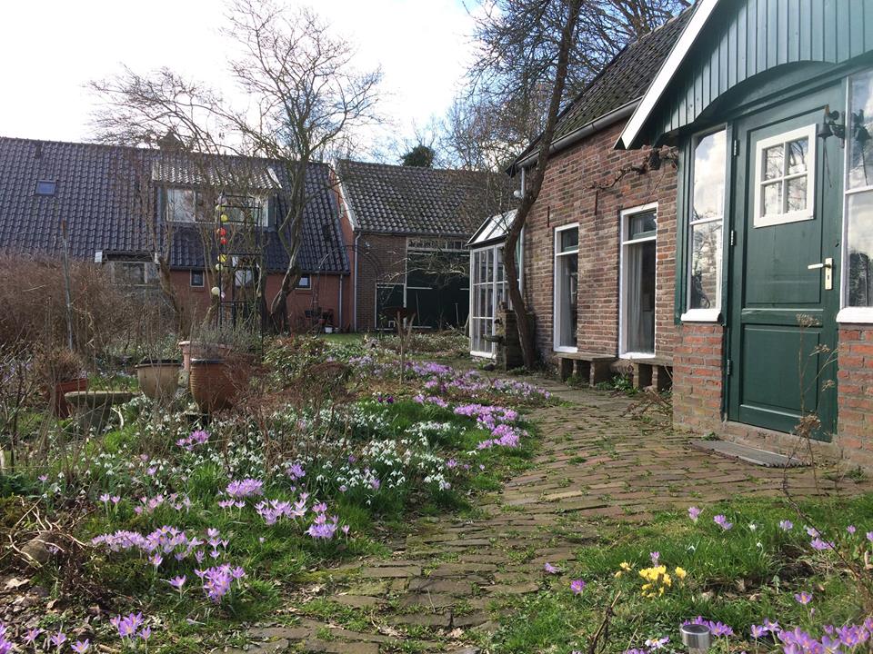 Nature house in Balkbrug