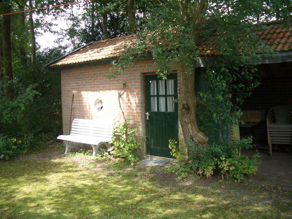 - image: 12