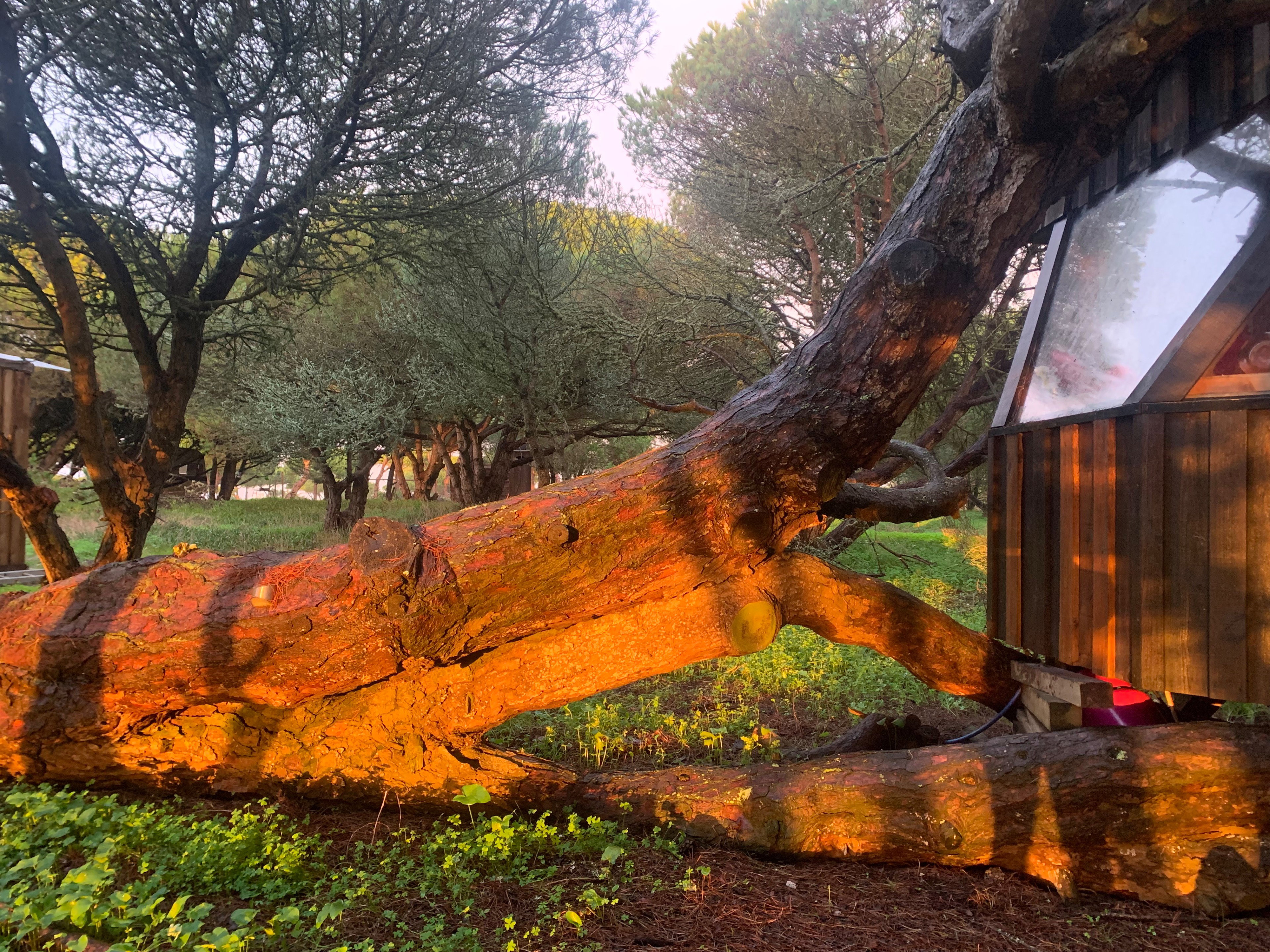 Casa nella natura a Azoia, Cabo Espichel