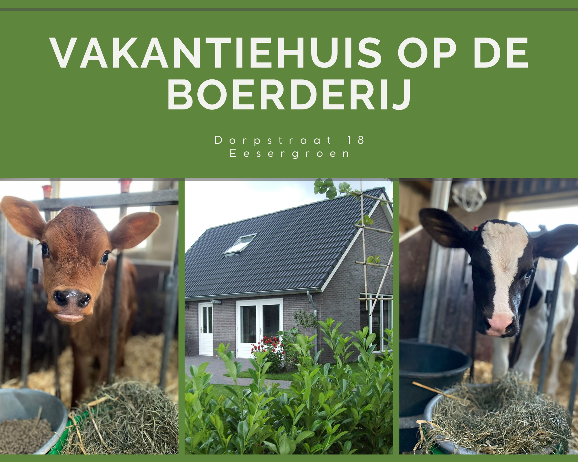 Natuurhuisje in Eesergroen