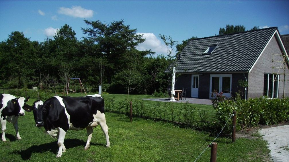 Naturhäuschen in Eesergroen