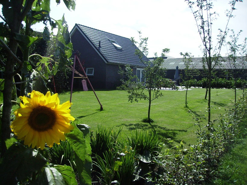 Naturhäuschen in Eesergroen