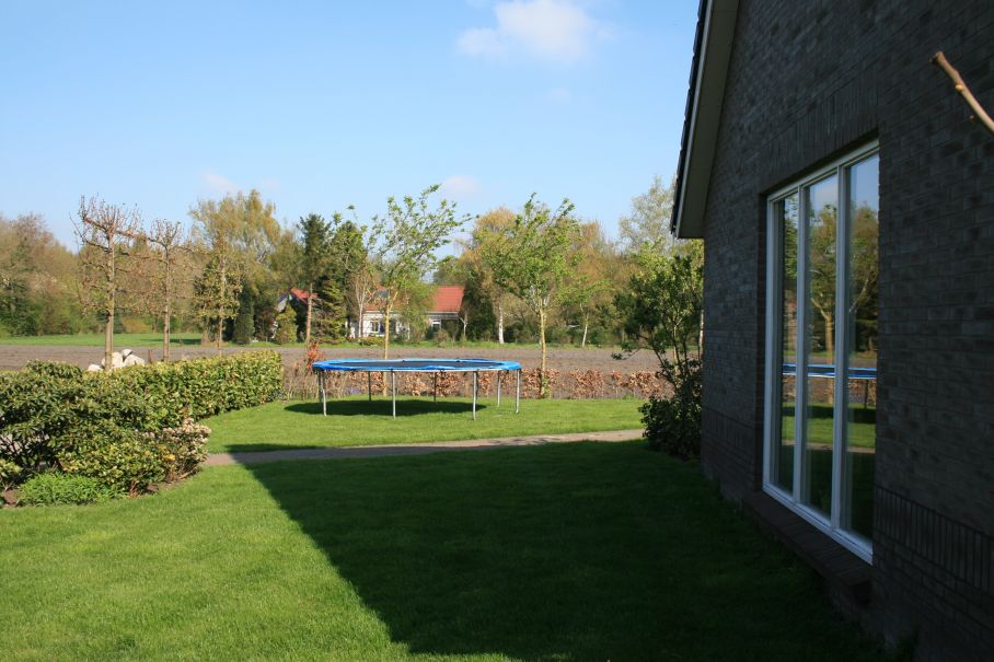 - image: 12