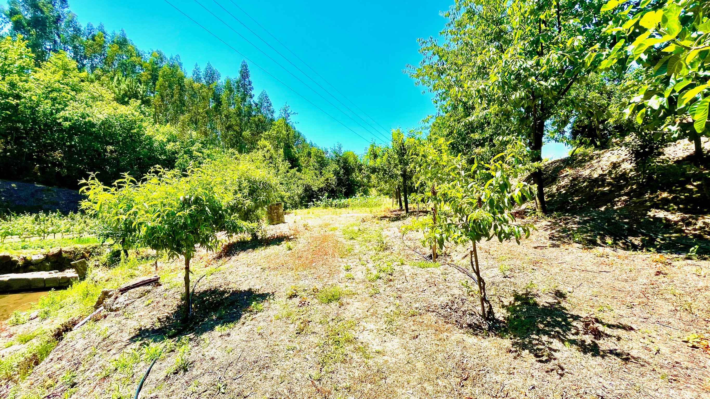 Naturhäuschen in Penafiel