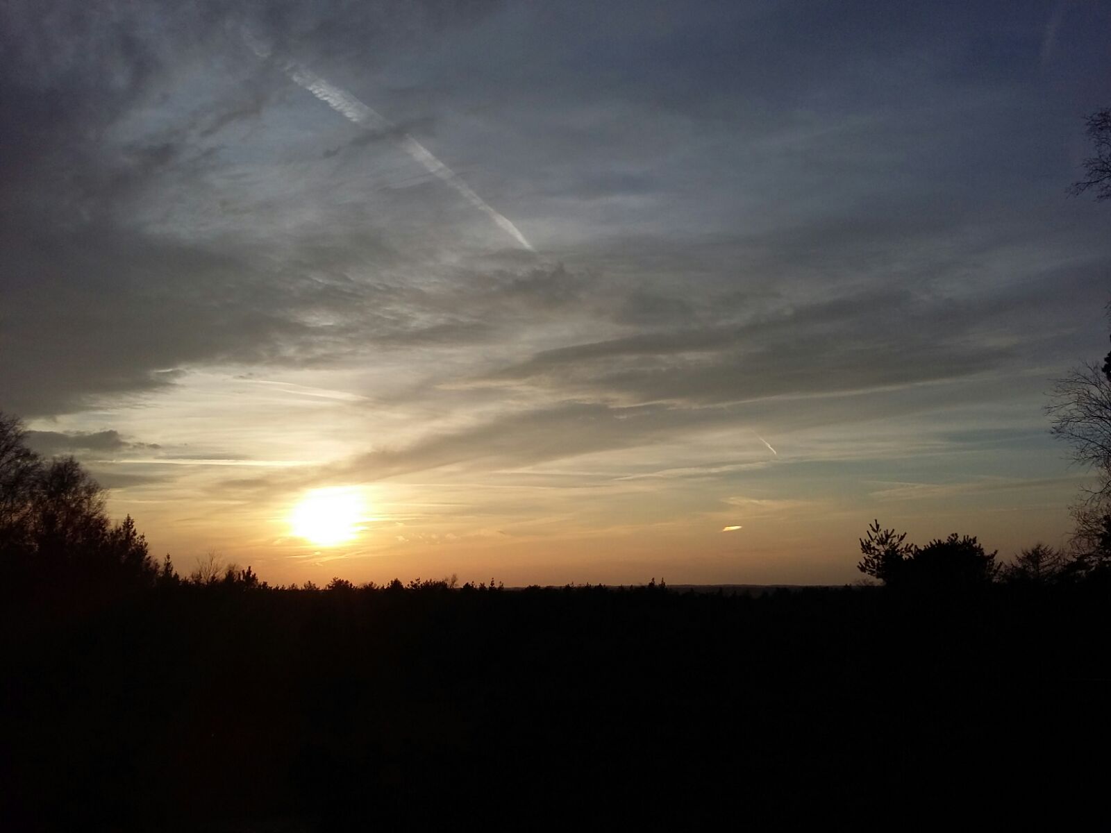 - image: 17