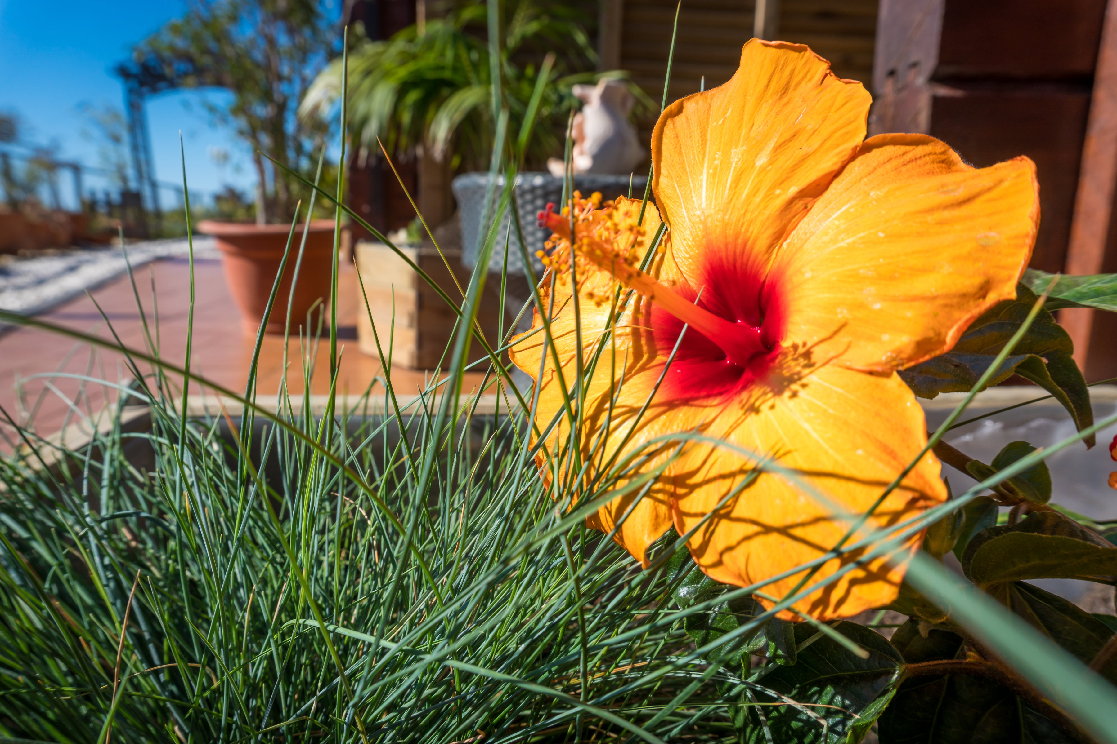 Naturhäuschen in Nerja / Maro