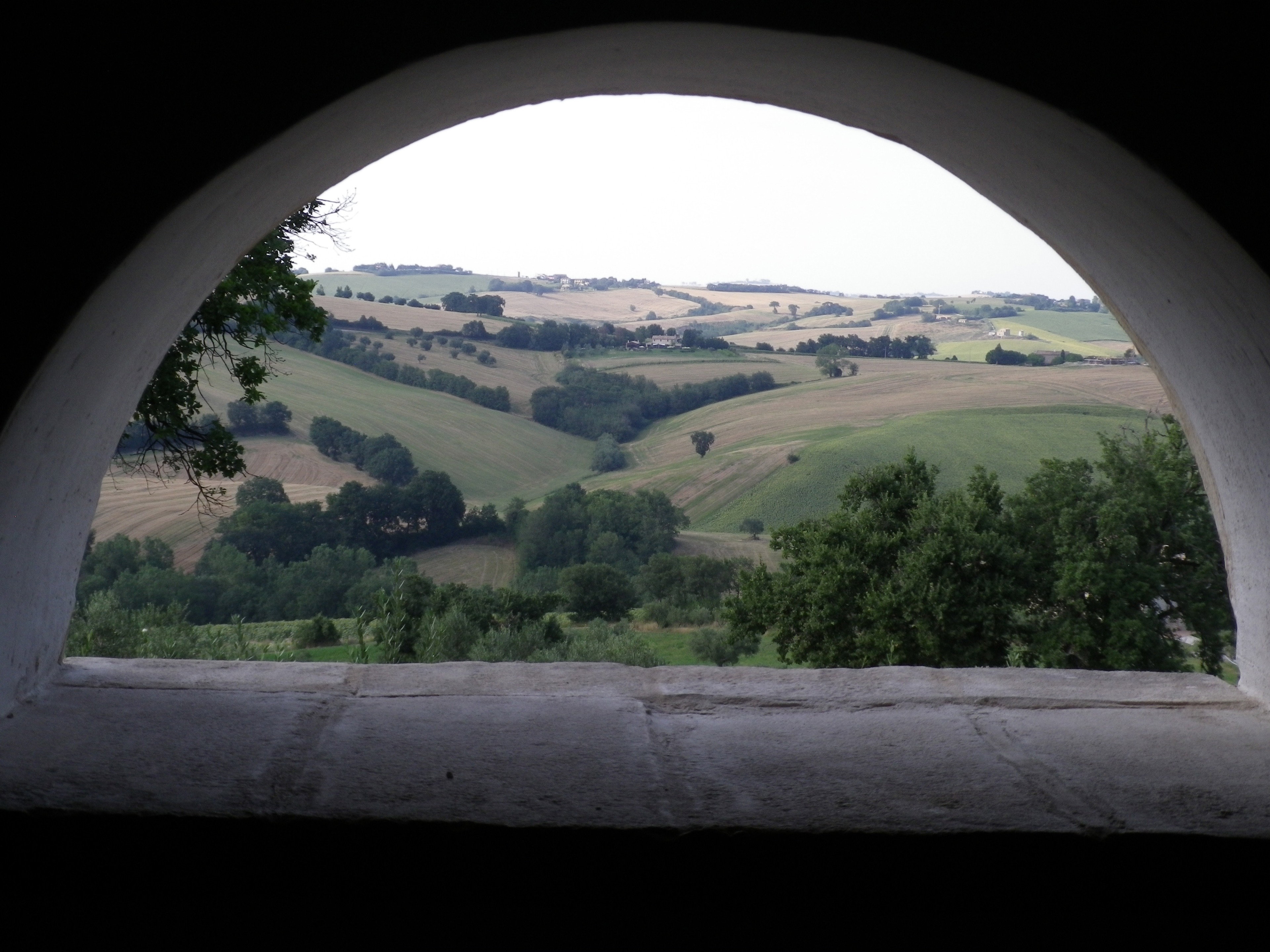 - image: 17