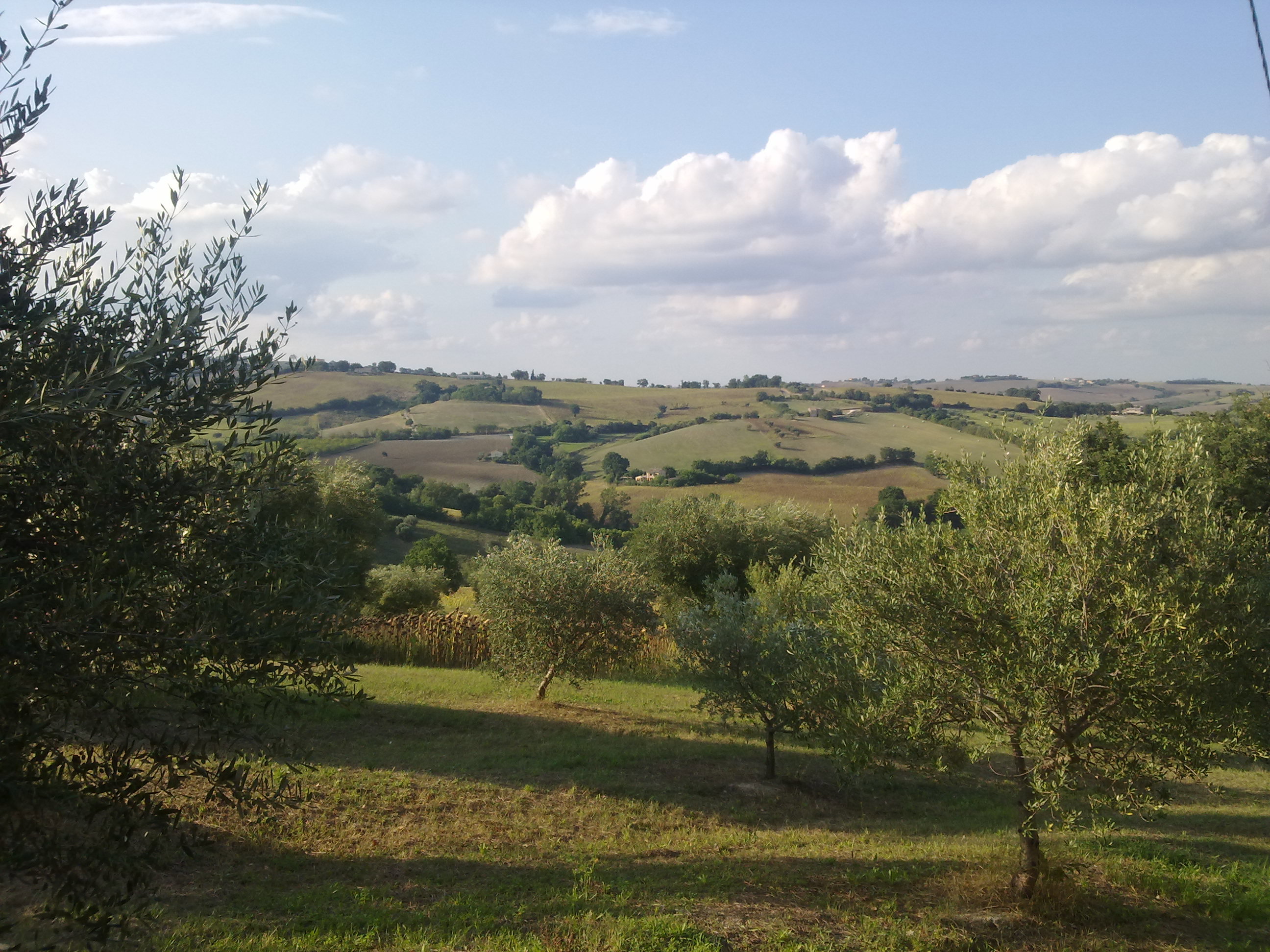 - image: 21