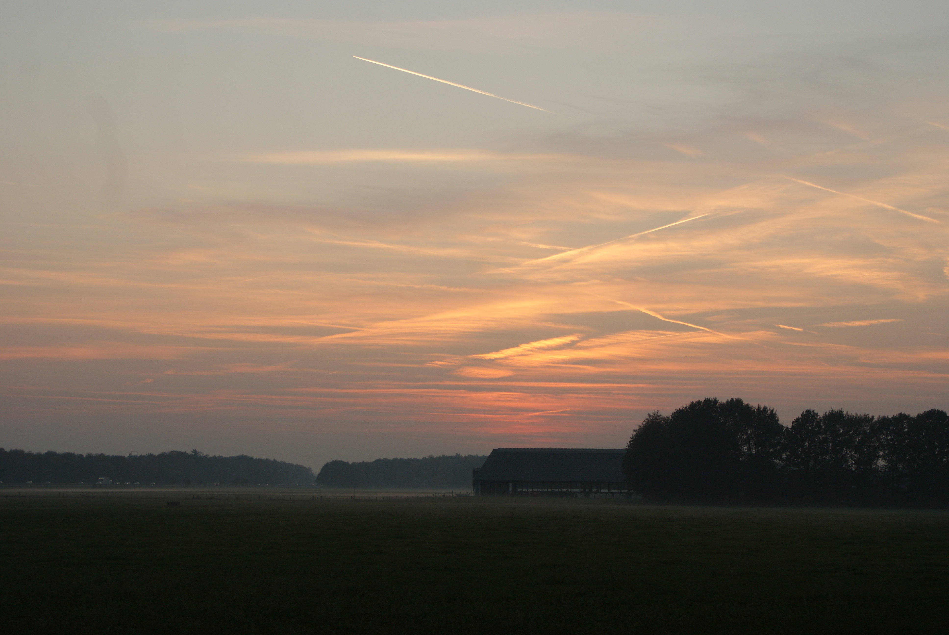 - image: 43
