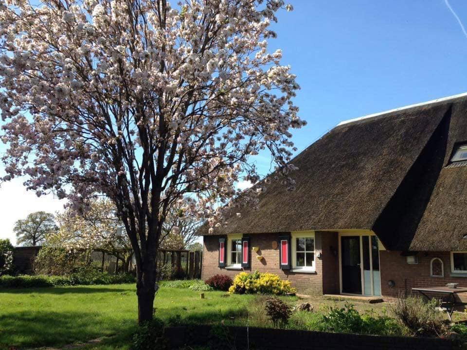 Natuurhuisje in Lettele