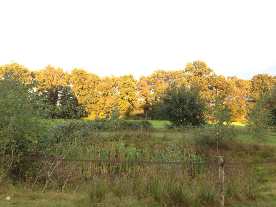 Maison nature à Lettele