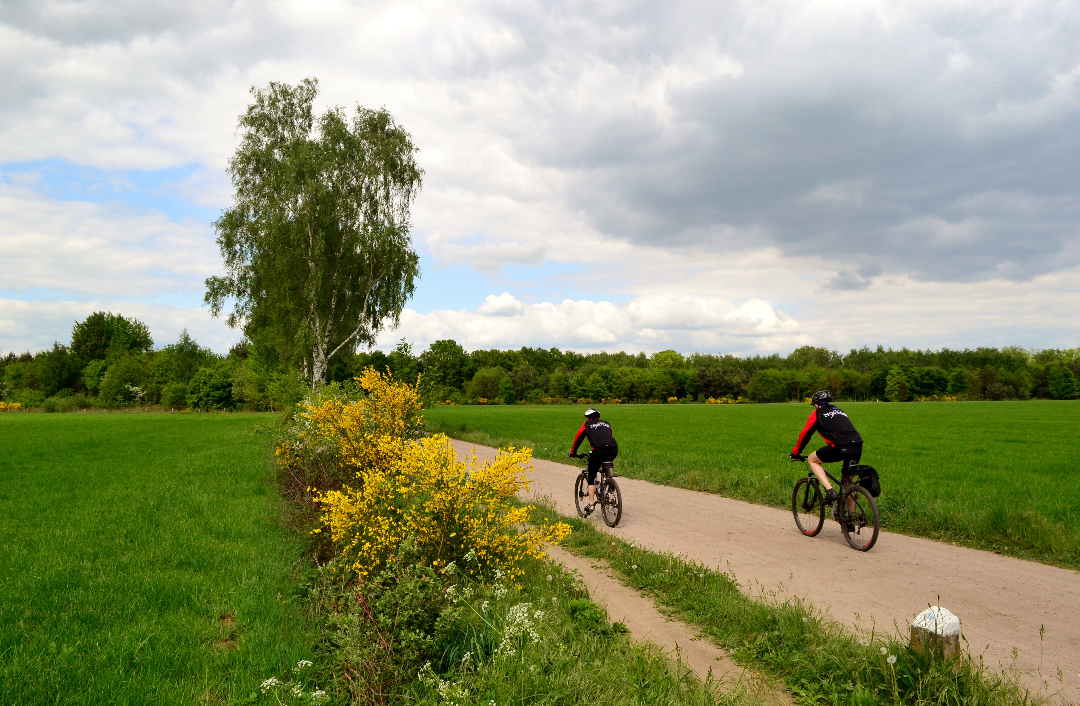 Naturhäuschen in Winterswijk