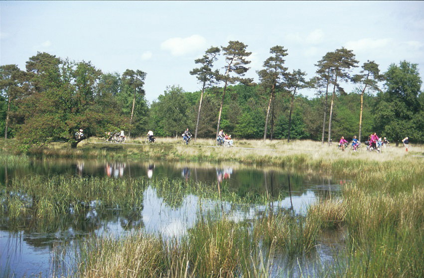 Naturhäuschen in Ansen