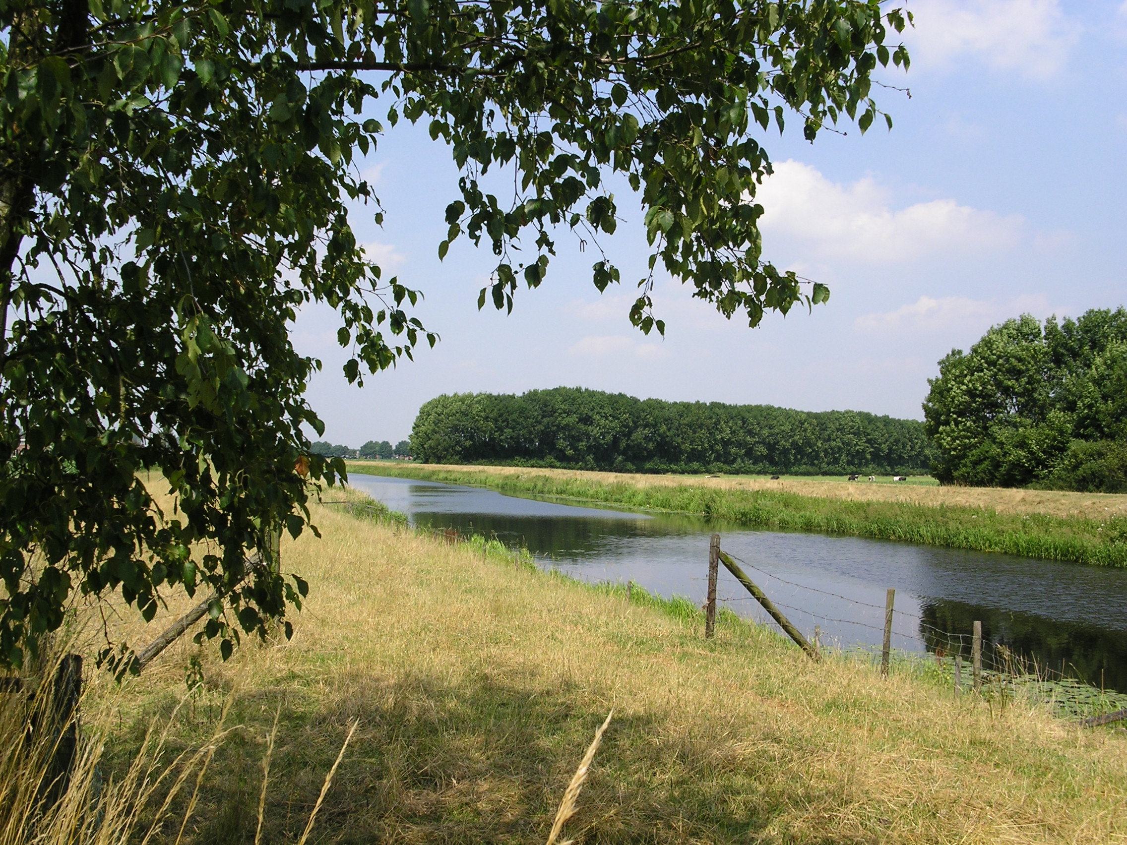 - image: 15